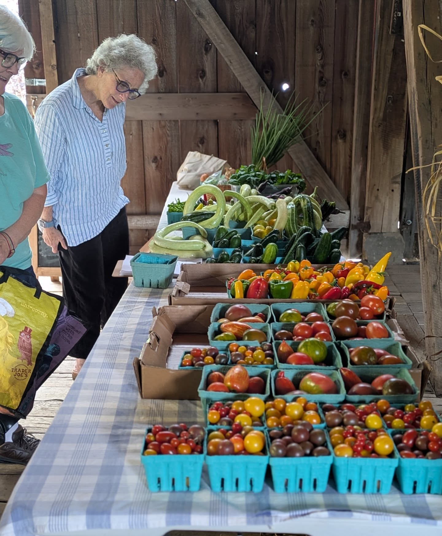 Very colorful CSA pickup and stir fry night 😄