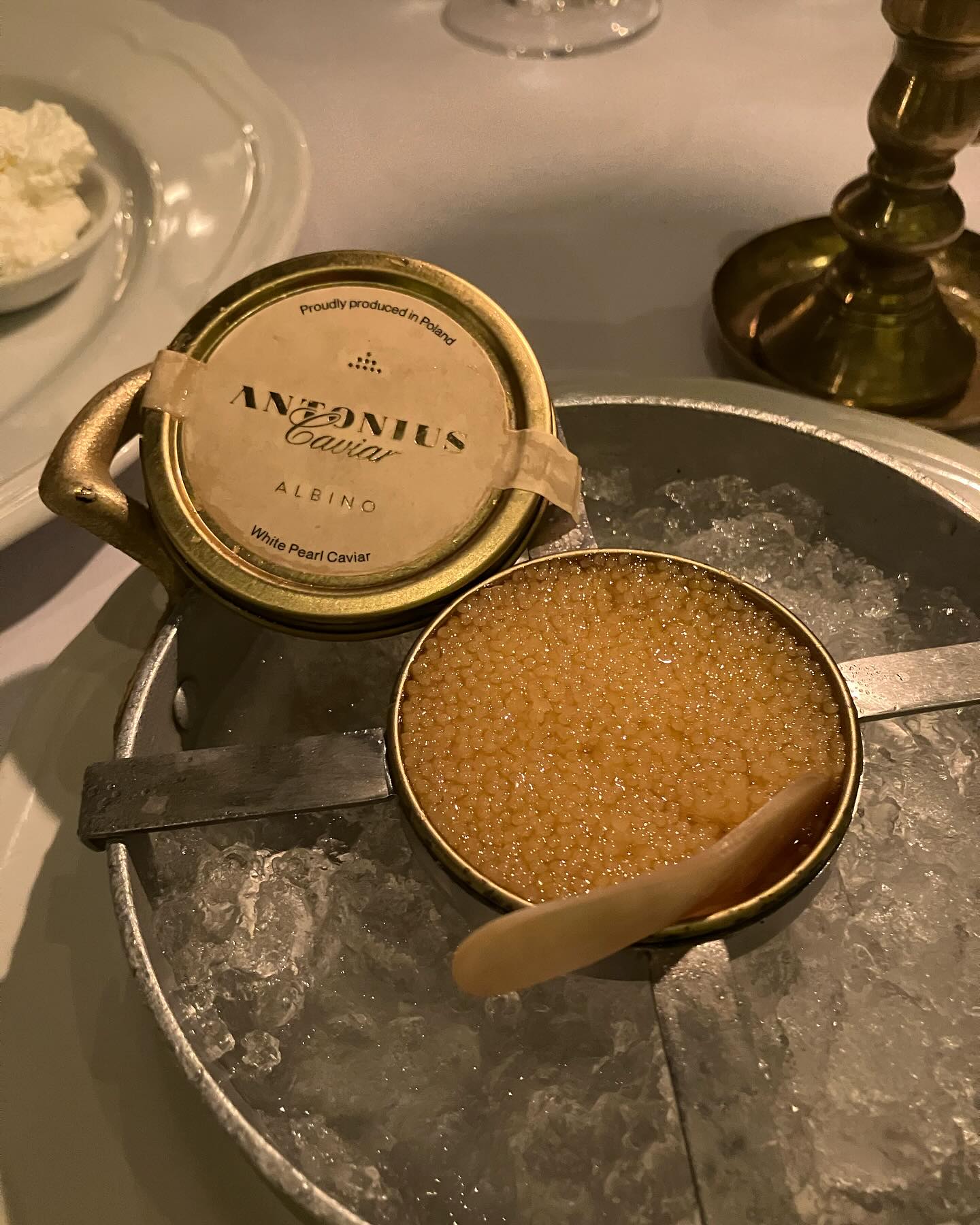 Rare indulgence awaits — Albino Caviar by Antonius Caviar, crafted in limited portions. Order now and experience true exclusivity.
#caviar #albinocaviar #antoniuscaviar #jakartafoodies #jakartafood