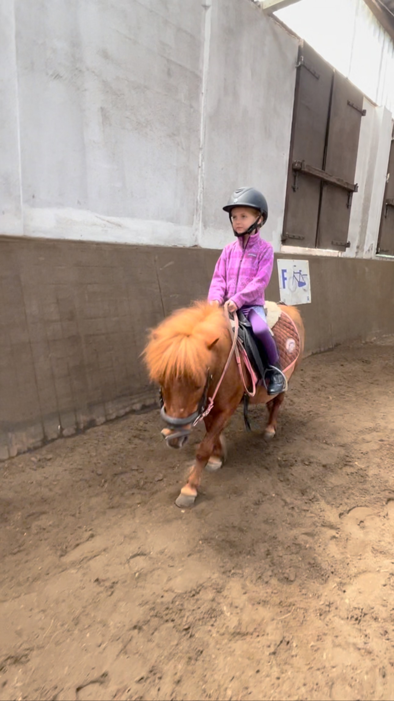 Riding lesson on a little pony in The Netherlands