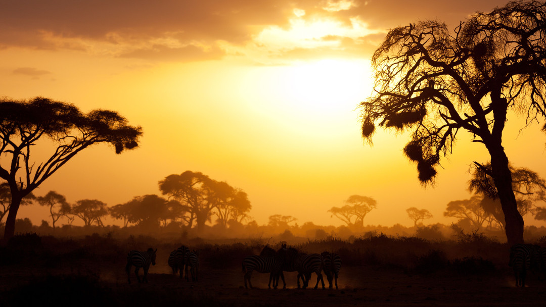 20% off ‘til Aug 31. Savor the summer just a little longer.
Going back to work doesn’t mean letting go of that summer freedom. With Citrine, Aquamarine, Turquoise and Moonstone, you can hold on to that sunny feeling of relaxation, joy and balance. A little reminder of golden sunsets, salty breezes and endless days of R&R 🌞
#summerglow #backtoworkstyle #gemstonelove #handmadejewelry #wildstonesamsterdam