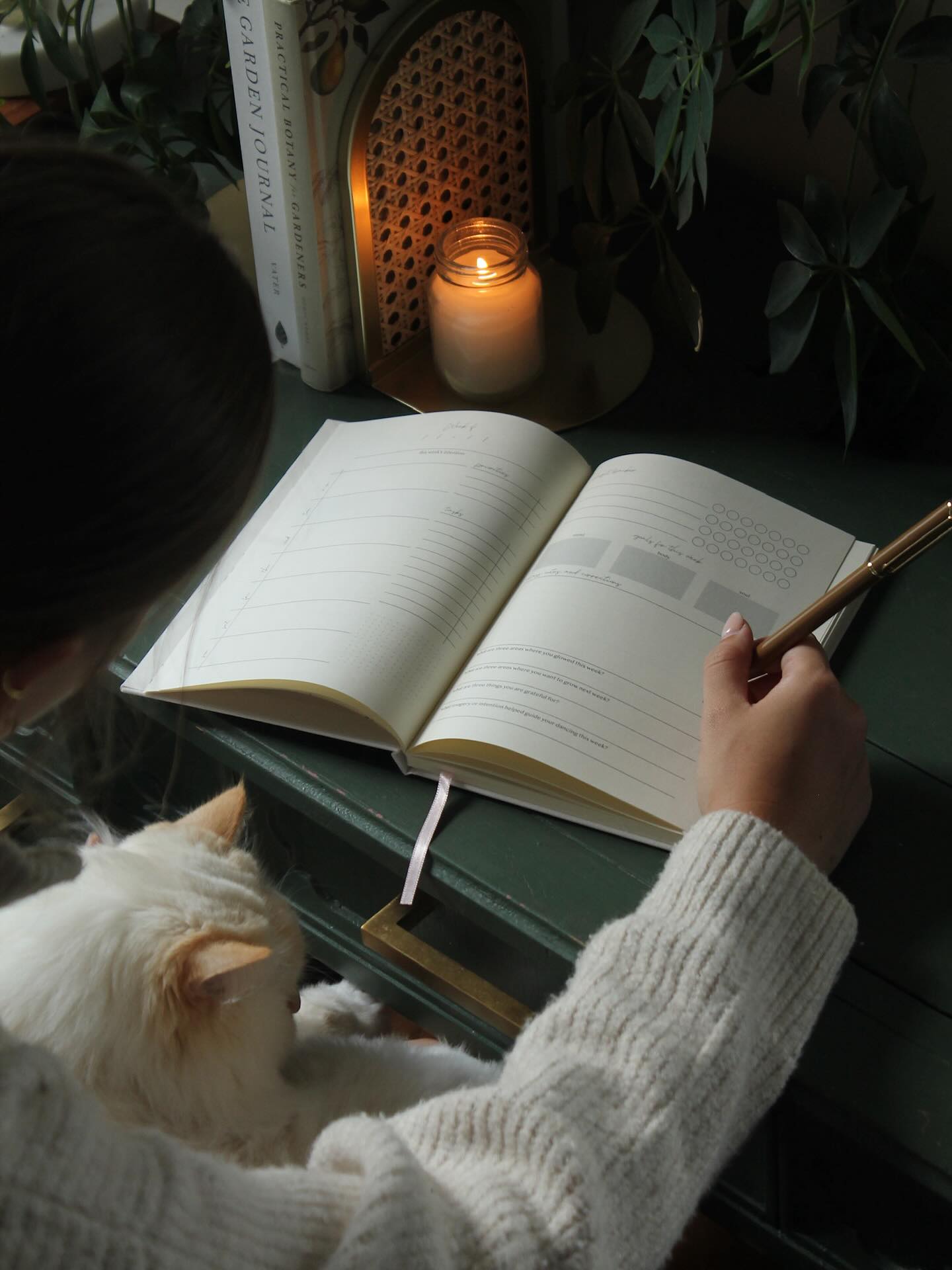 It’s a reflection journal, it’s a planner, it’s a goal-setting tool, it’s everything you need to make this your best season yet.