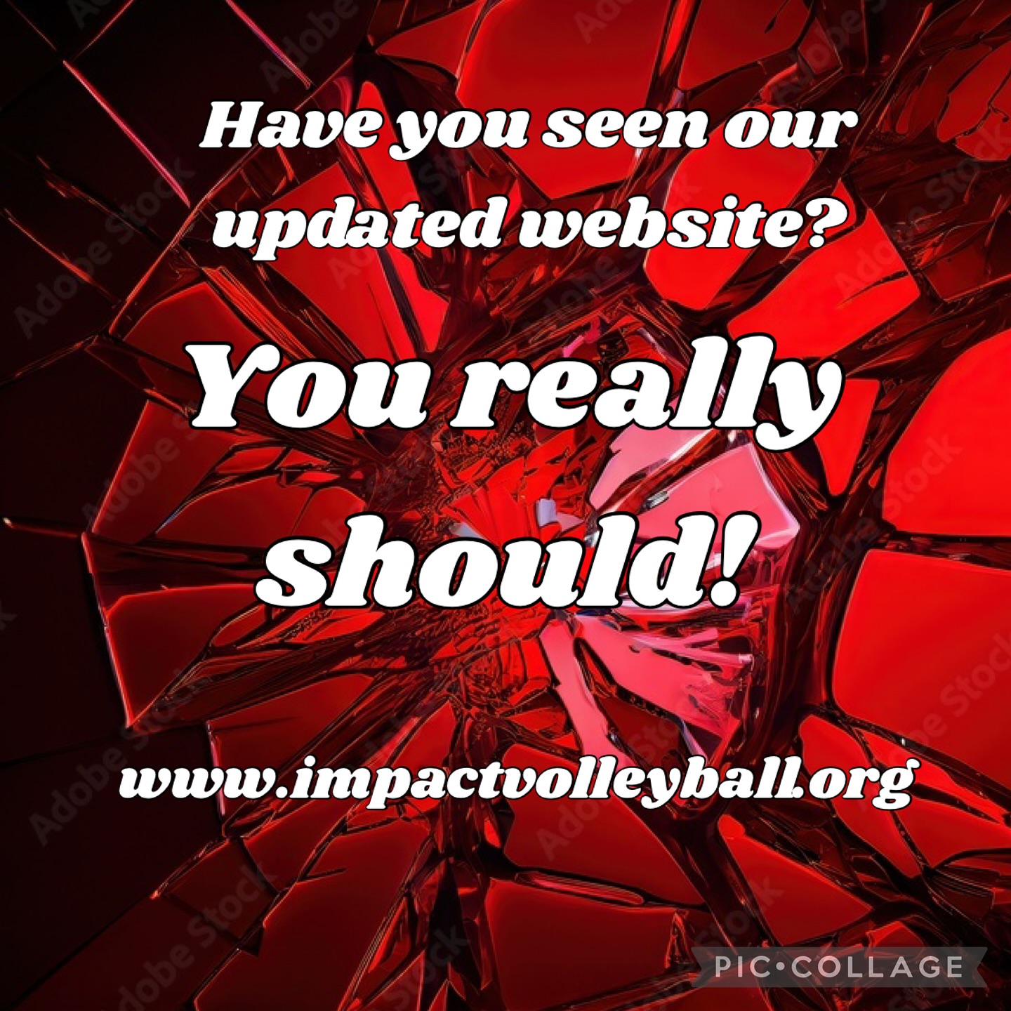 We are so so grateful for @kris_verbeek for all her help with our website. Its been a long time coming & now we can proudly direct you there or you can keep following us here- OR BOTH!!