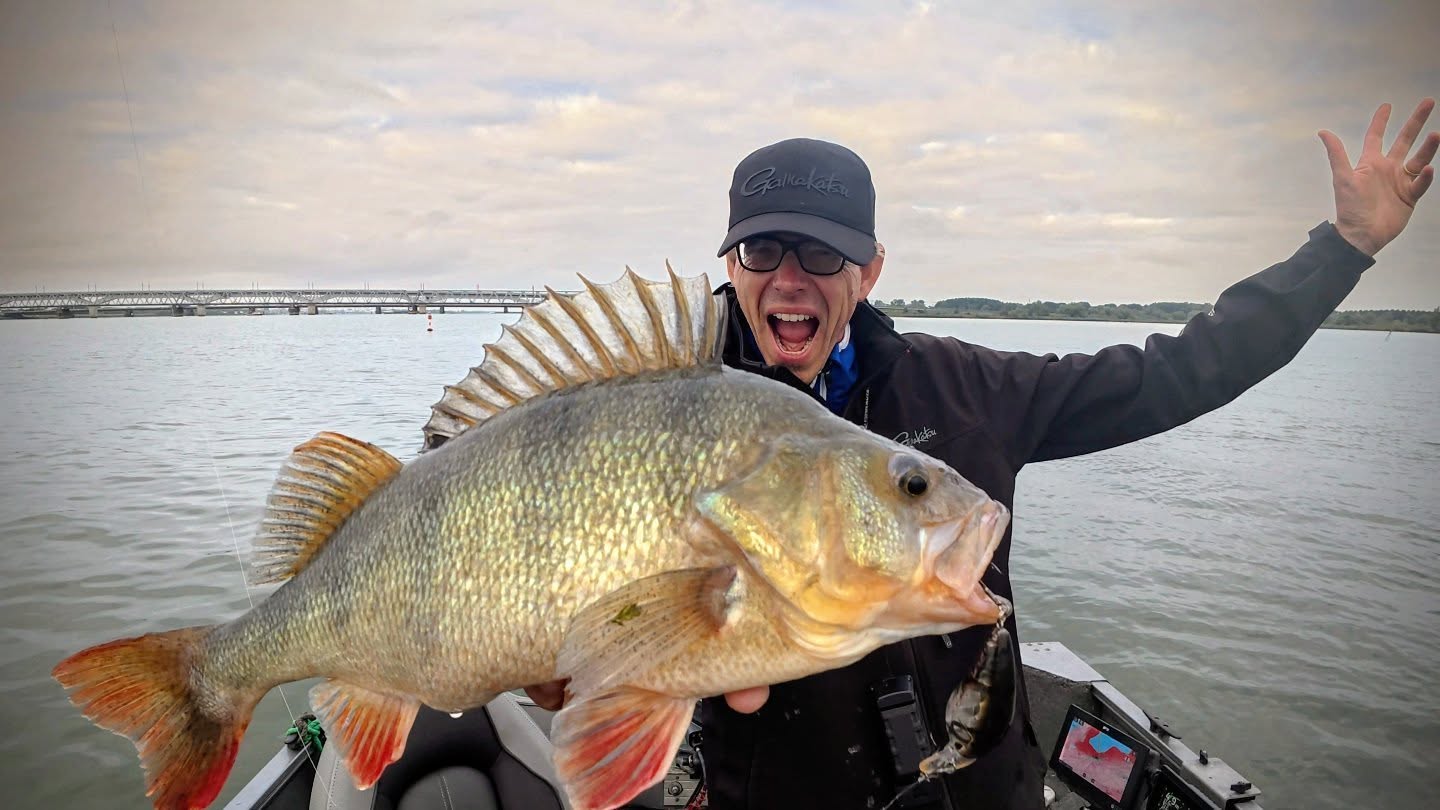 RK Crawler55 does it again 💥#spro #proventocatch #perch #perchfishing
#yamahaprofishing #batterylabs #lurefishingguide #ufxfishing #hollandsdiep