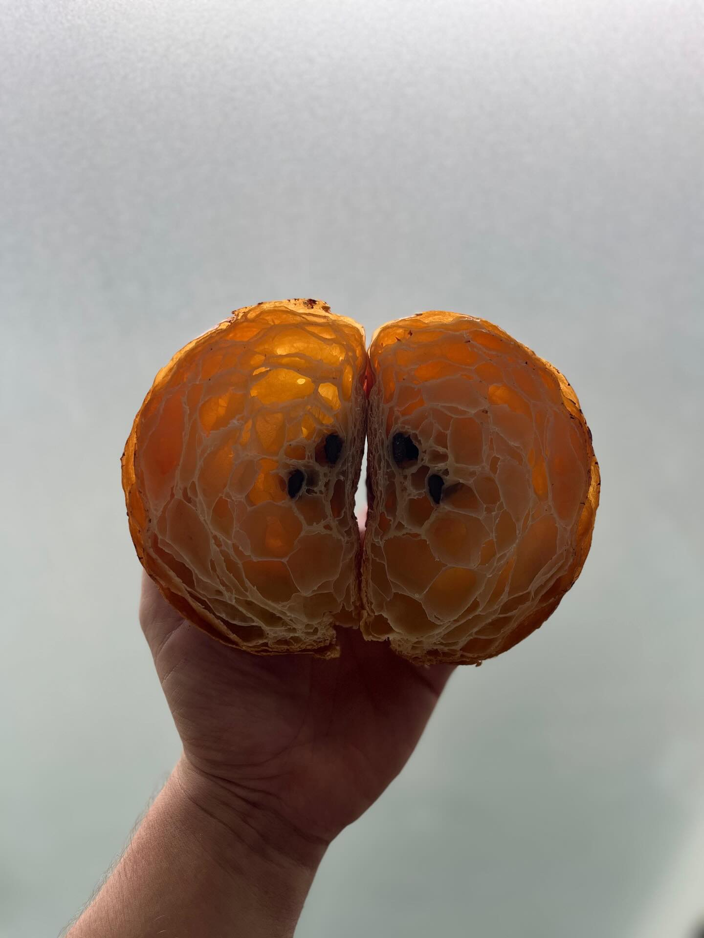 Behind every great croissant is a baker who folded 729 times.
#bakery #dubaibakery #mydubai #dubaieats #timeoutdubai