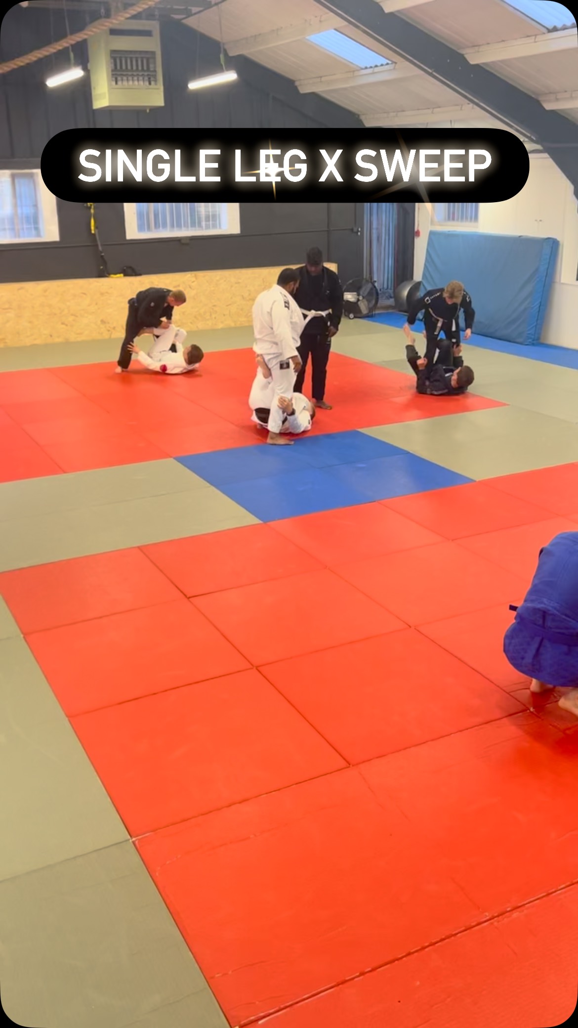 X guard drills #bjj #bjjdrill #singlelegxguard #ibjjf