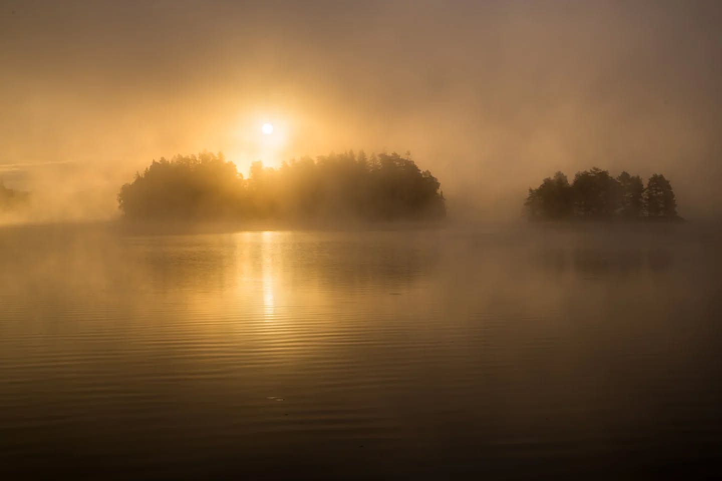 The sun is rising over another beautiful morning.
#innature
#innaturephotos
#sunrise
#foggymorning
#foggylake
#morningglory