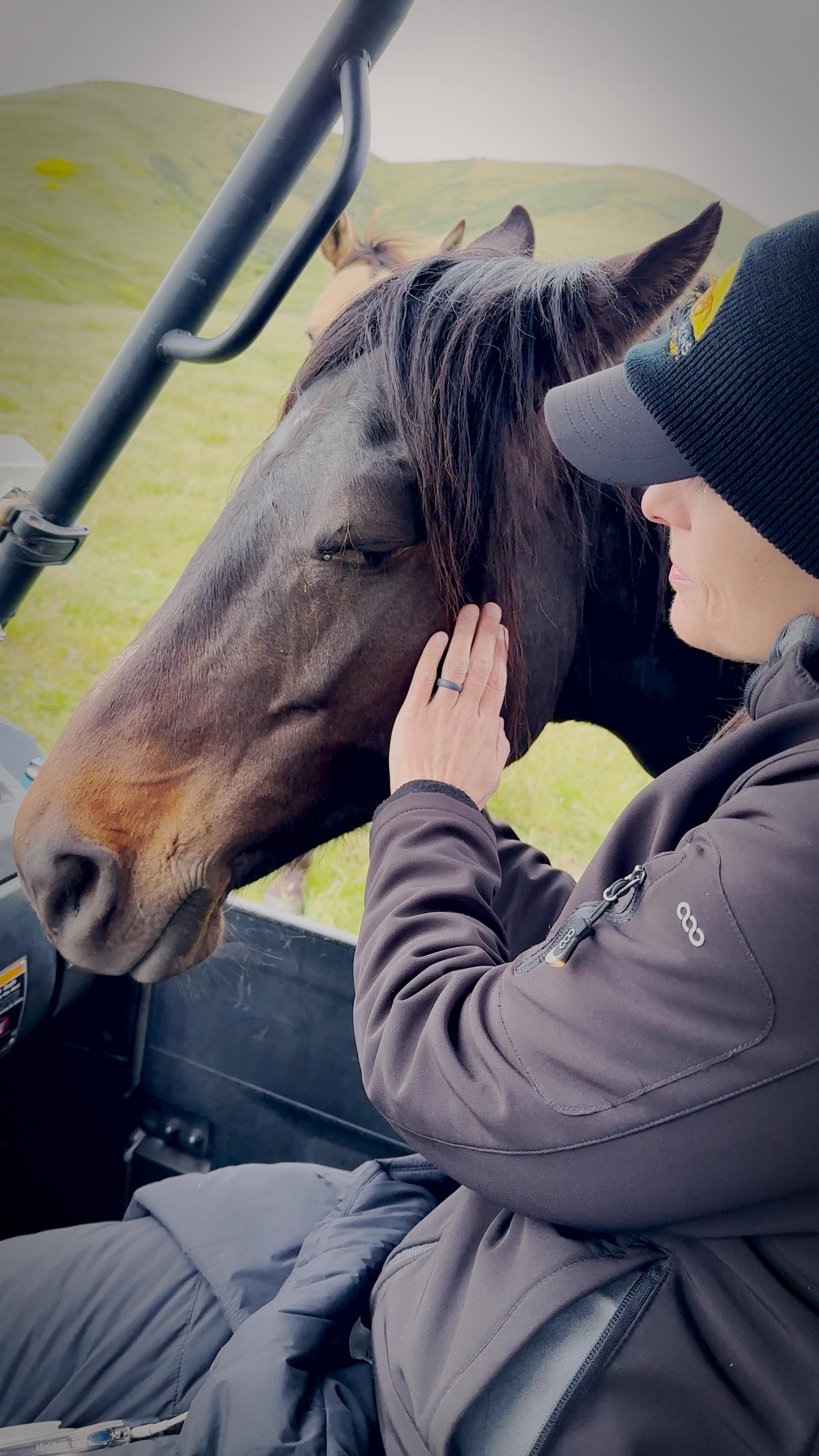 We’ve been dreaming up this Wild Hearts event with @freedomreignsequines for months — and now it’s here.
Experience Rescued Hearts on the big screen and be part of a heartfelt conversation with wild horse advocate Grace Kuhn about the West’s wild horse herds — their beauty, their plight, and the essential role they play in the healing power of human-animal connection ❤️
Join us at the Riviera Theatre in Santa Barbara, CA on Sunday, August 24 at 12 PM.
Purchase your tickets→ RescuedHeartsFilm.com/events
#RescuedHeartsFilm #FreedomReigns #HealingWithHorses #WildAndFree #WildHorses #Mustangs #SantaBarbaraEvents #HorseHumanConnection #DocumentaryFilm #SantaBarbara #California #HealingJourney #HorseLovers
#LoveThemWild