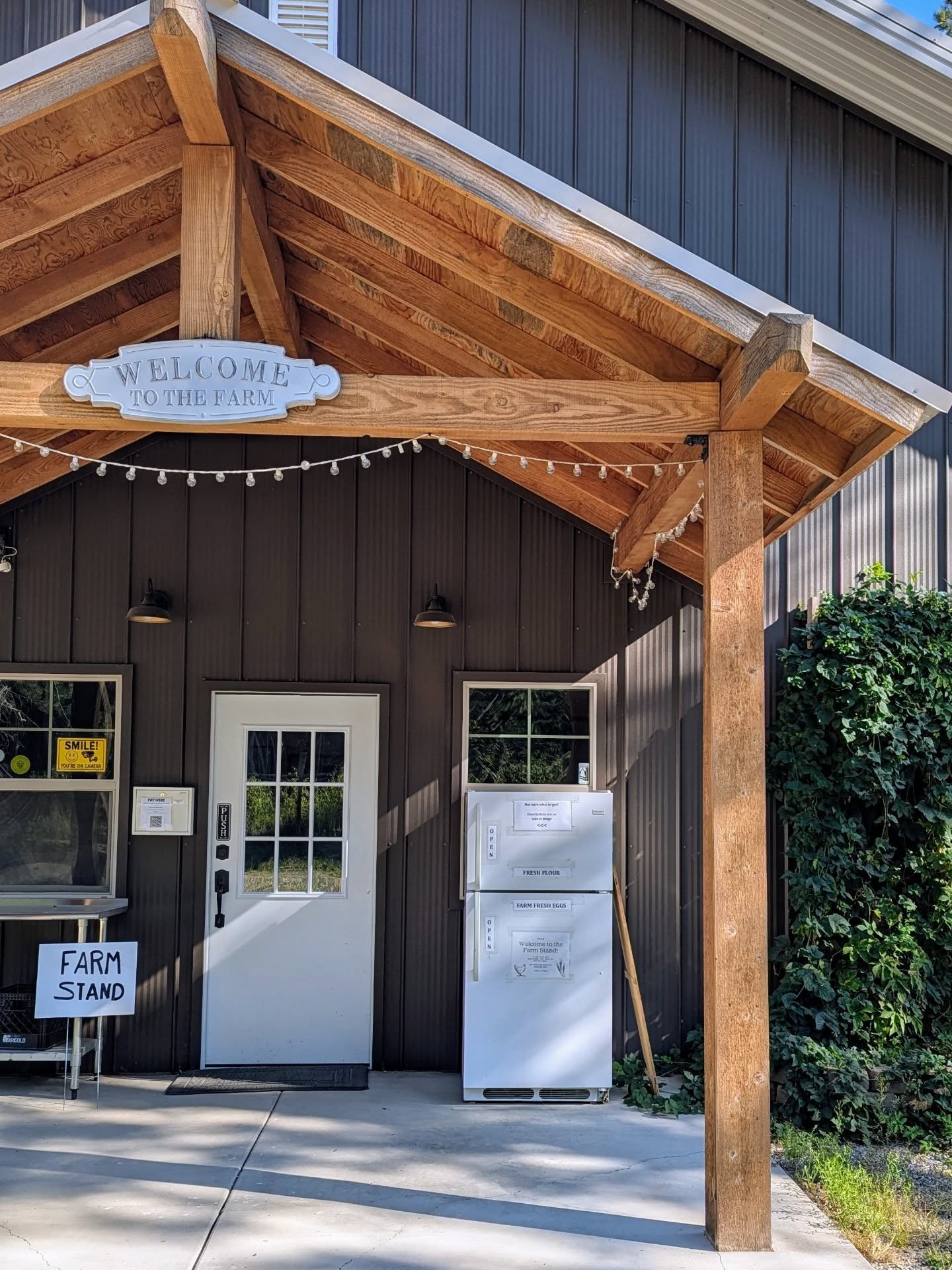 š¾ This Week at the Farm Stand š„
Our stone-milled whole grain flours are ready for your pantry!
š§ŗ Available This Week: š„ Farm Fresh Eggs ā $6 per dozen
š¾ Turkey Red Whole Wheat ā $15 for 10 lbs
š¾ Rouge de Bordeaux Whole Wheat ā $10 for 10 lbs
š¾ Basra Gold Whole Wheat ā $15 for 10 lbs (ultra rare hard white)
š¾ Elwha River Spelt ā $15 for 10 lbs
š¾ Wheat Bran ā $4 per bag
All grain is grown locally and milled fresh here on the farm. Quality you can taste in every loaf and recipe.
š 25415 N Ramsey Rd, Athol, ID 83801
š°ļø Open Fridays from 12 PM to 6 PM and Saturdays from 9 AM to 6 PM
šµ We accept cash, check, or Venmo
Thanks for supporting local food and your neighborhood farm!
#FarmFresh #StoneMilledFlour #BasraGold #TurkeyRed #RougeDeBordeaux #ElwhaRiverSpelt #WheatBran #FarmEggs #LocalGrain #SelfServeStand #SupportLocal