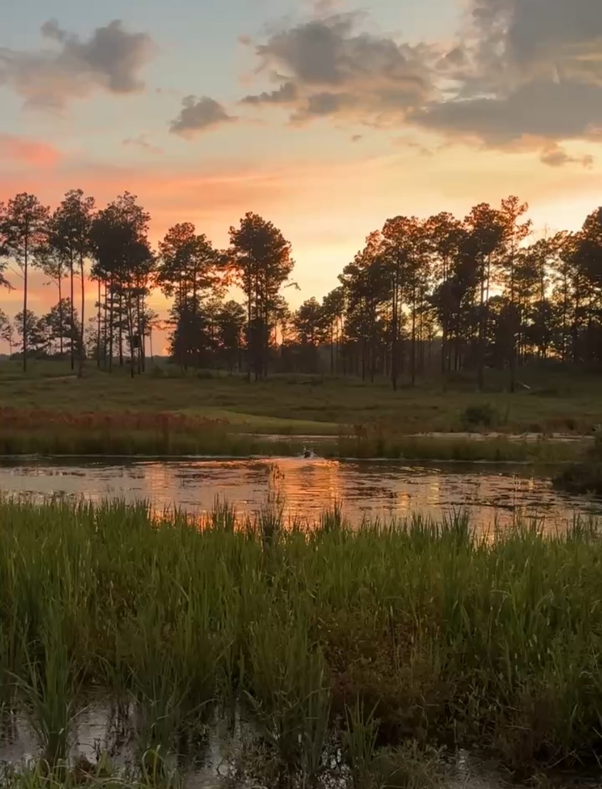 Blind work w/ a view —>
.
.
.
#schillingsgundogs #schillingsgundogstraining #sgdtraining
#uplanddogtraining #uplanddogtrainer
#gundogtraining #gundog #birddogtraining #birddog #retriever #retrievertraining