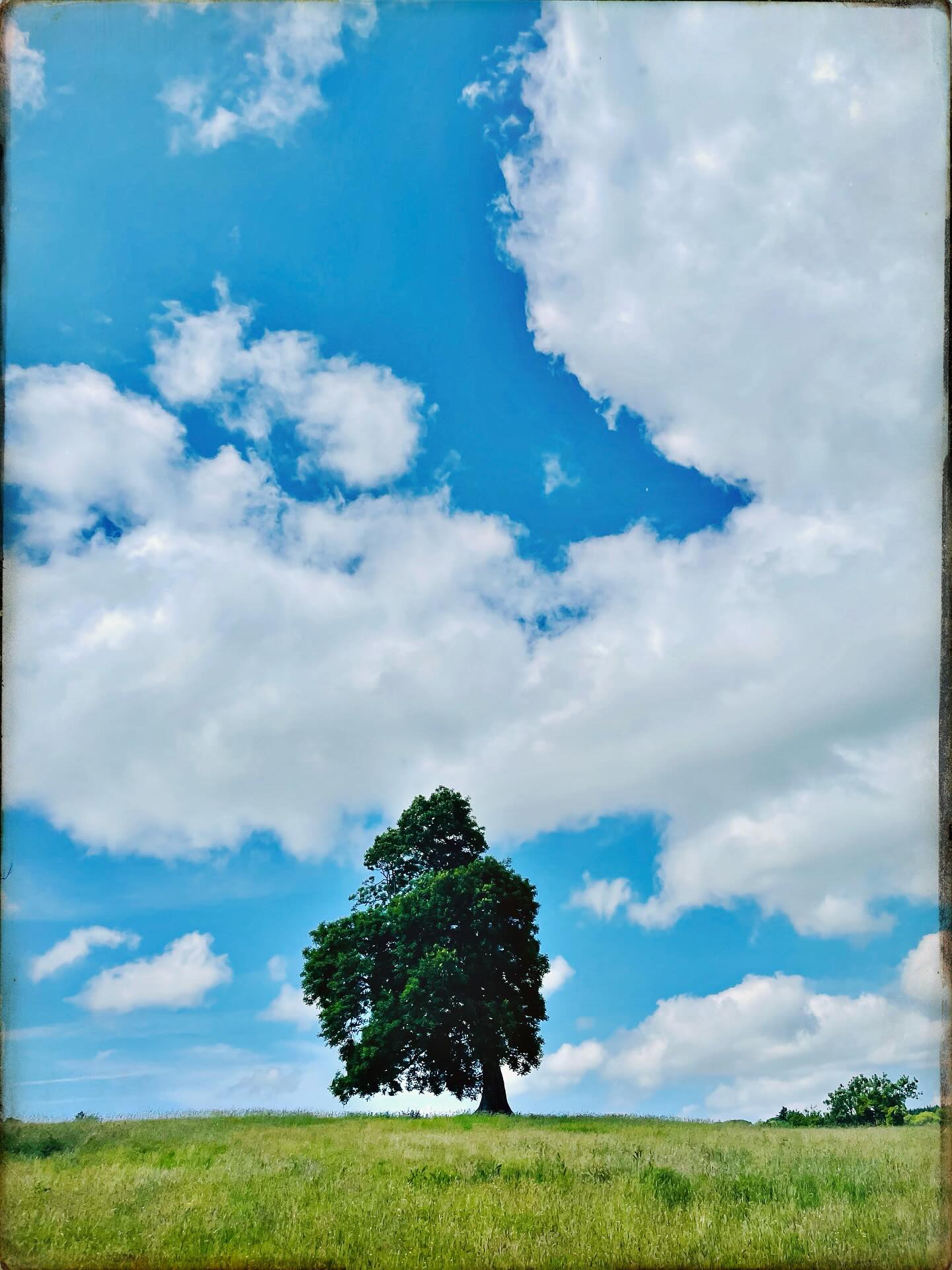 A few memories from our fantastic retreat with @jivitaayurveda this June in Dorset. We are looking forward to seeing you on the next one we are organising in November (14-17th) for a great immersion into Ayurvedic treatments and food, of course, but also Vedic Meditation, Yoga, Sound Healing and much more …
#collaborations #yogaand Ayurveda #true2u #jivita #workingtogether #greatteam❤️