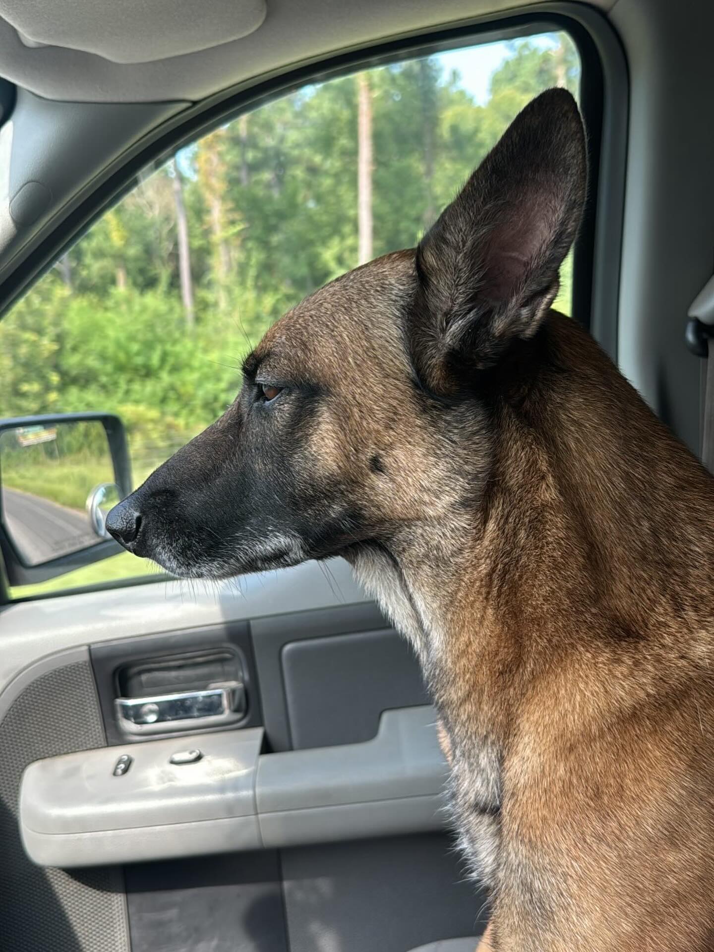 When you wanted the last bite of your dads egg mcmuffin but he pulled up at 10:31 š©š