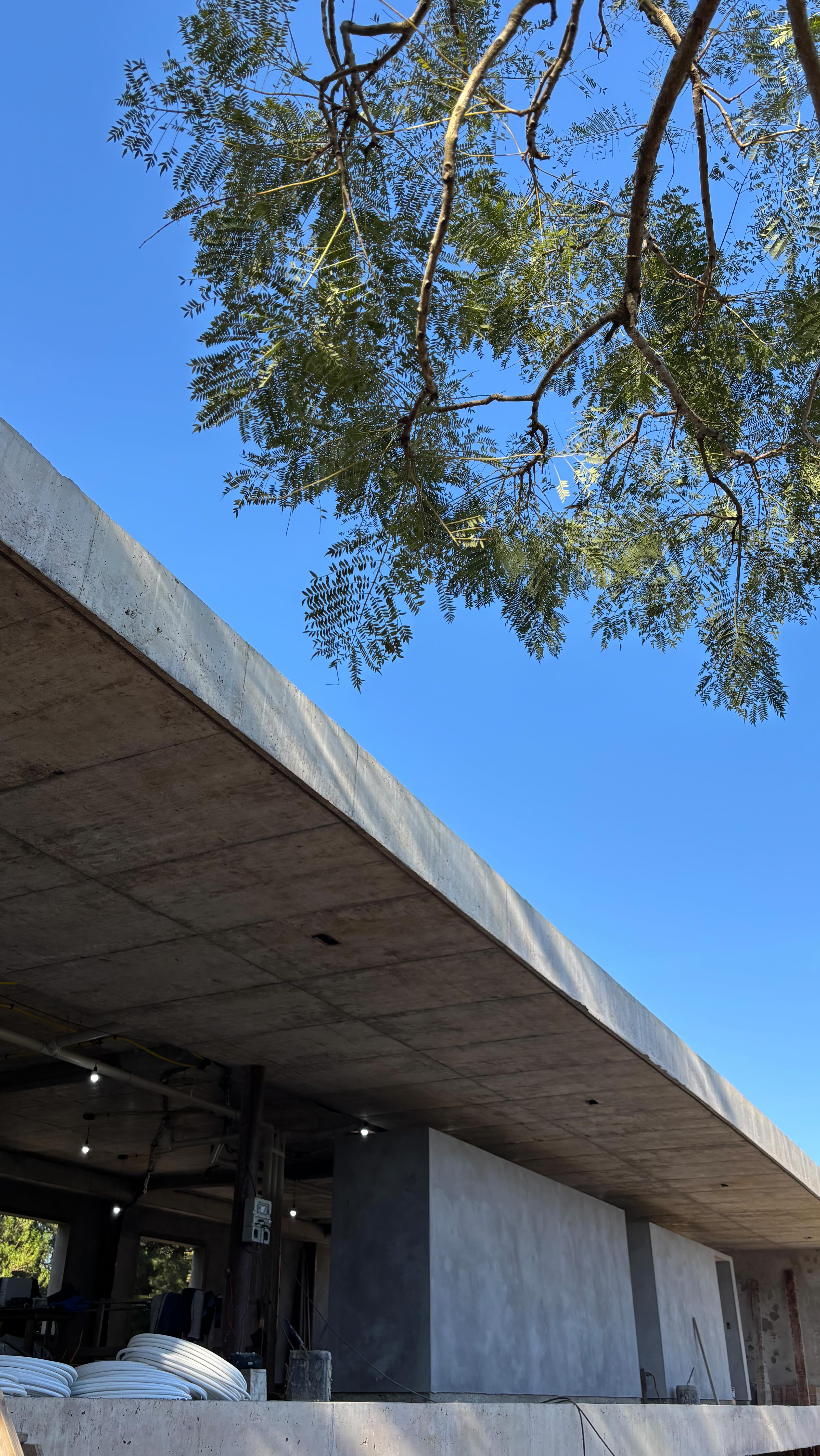 Casa da Saudade em construção. Agosto de 2025.
#casabrasileira #archi #ModernArchitecture #archlovers #ArchitecturalDesign #galeria733 #casadasaudade #arquiteturamoderna #casa #concretoaparente #fachadas
contato@galeria733.com.br
____________________________________________
GALERIA 733