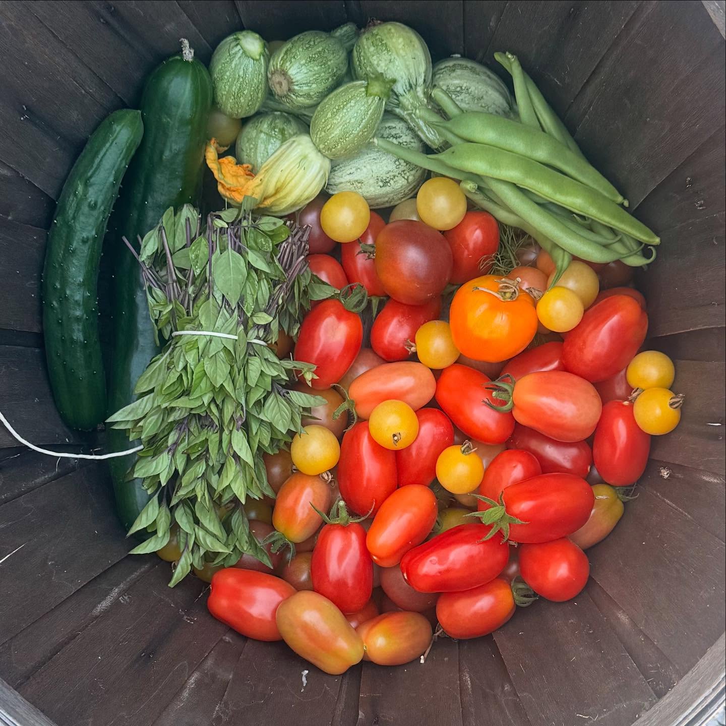 Summer in a basket…