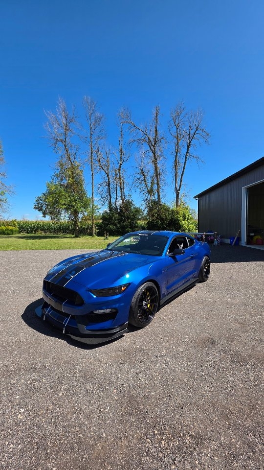 The ☀️ don't lie!
🔵paint correction
🔵wheels off service
🔵Front Bumper and custom 1/4panel Stek Paint Protection film by @makeitshinedetailing
🔵Dquartz Pro ➕️Cquartz Pro dream duo Ceramic Coating
#shelby #shelbygt350 #mustang #ford #gt350 ceramic #ceramiccoating #paintprotectionfilm #stek #ppf #cquartzfinestreserve #Dquartz #carpro
