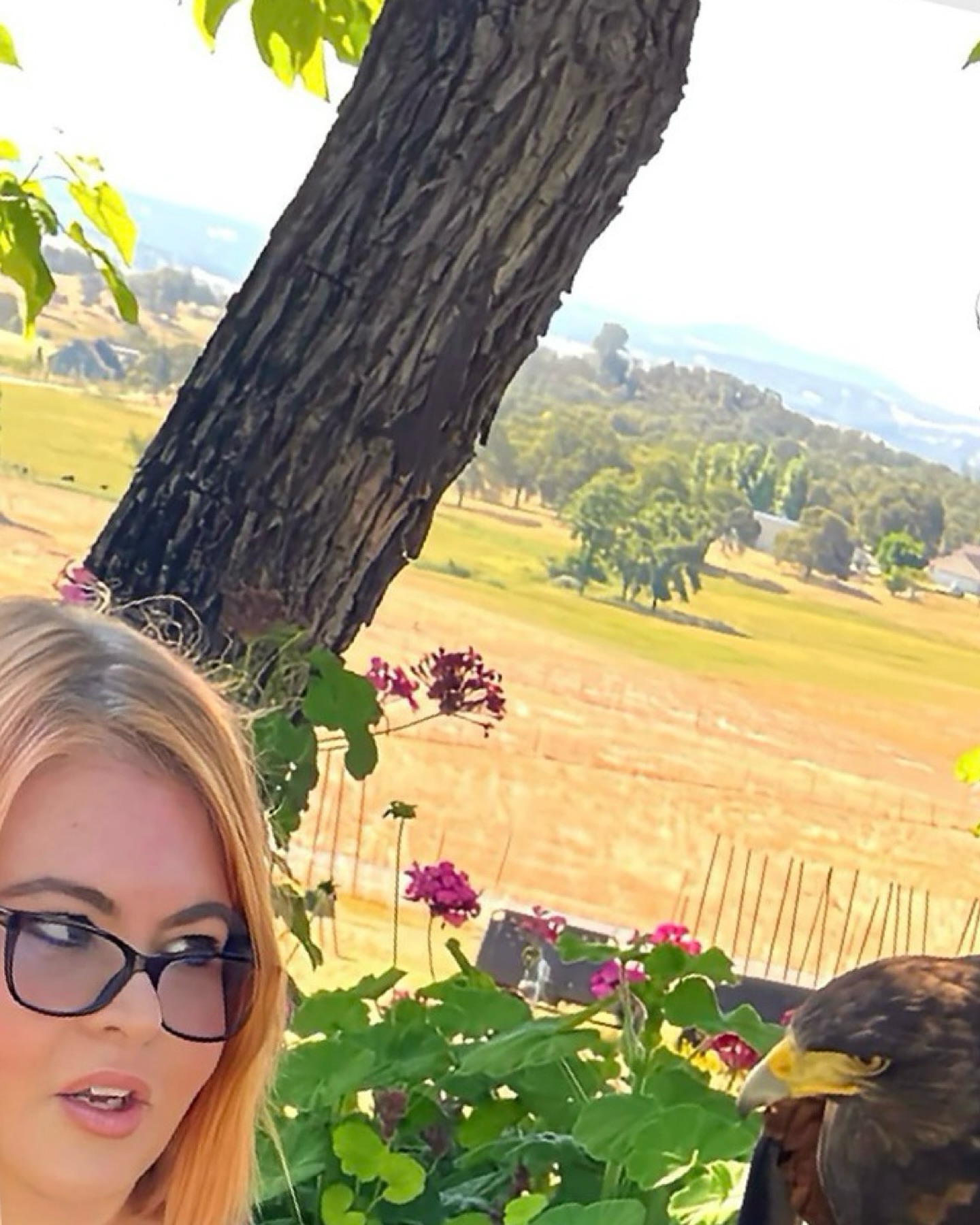 Hawks aren’t the only ones who “kettle.”
Vultures do too. But somehow, a kettle of vultures feels like the start of a dark comedy, doesn’t it?
Hashtags:
#CollectiveNounHumor #VulturesKettleToo #KettleOfBirds #LanguageQuirks #BirdNerds #PodcastWithWings #GatherOfGatherings #FunWithWords #StrangeButTrue #wordplaytime