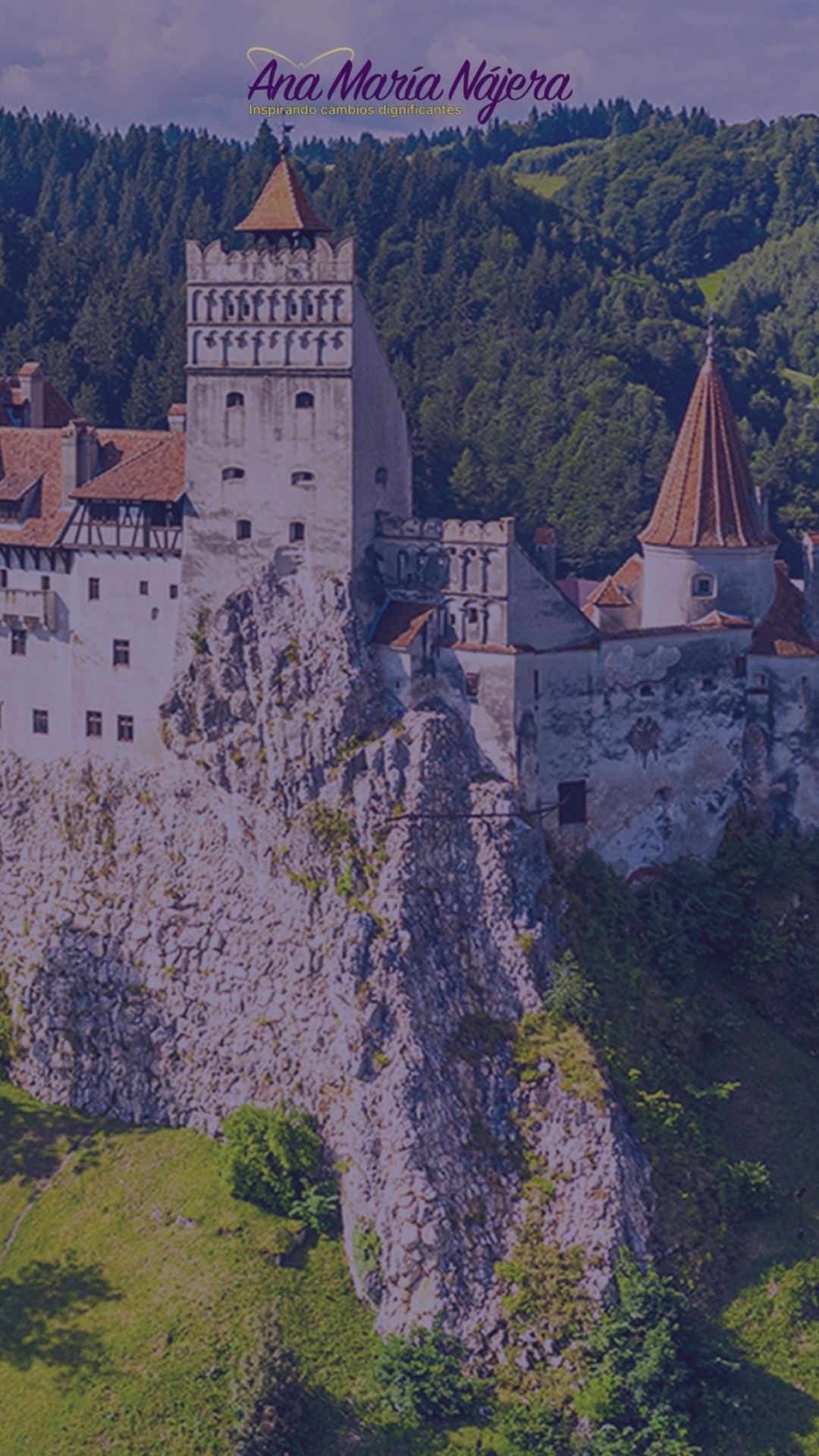 La valoración y la gratitud, es importante que sean realmente sentidas, aunque al principio solo se sienta con baja intensidad. Si se manifiesta un agradecimiento que no se siente de verdad es un engaño sin sentido y no tiene mayor beneficio para la salud física o emocional, ni para la interacción personal.
https://www.anamarianajeralemus.com/post/agradecer-y-valorar
#agradecimiento #valorar #perspectiva #motivación #bienestar #crecimientopersonal #reflexiones #inspiración #positividad #autoestima #amorpropio