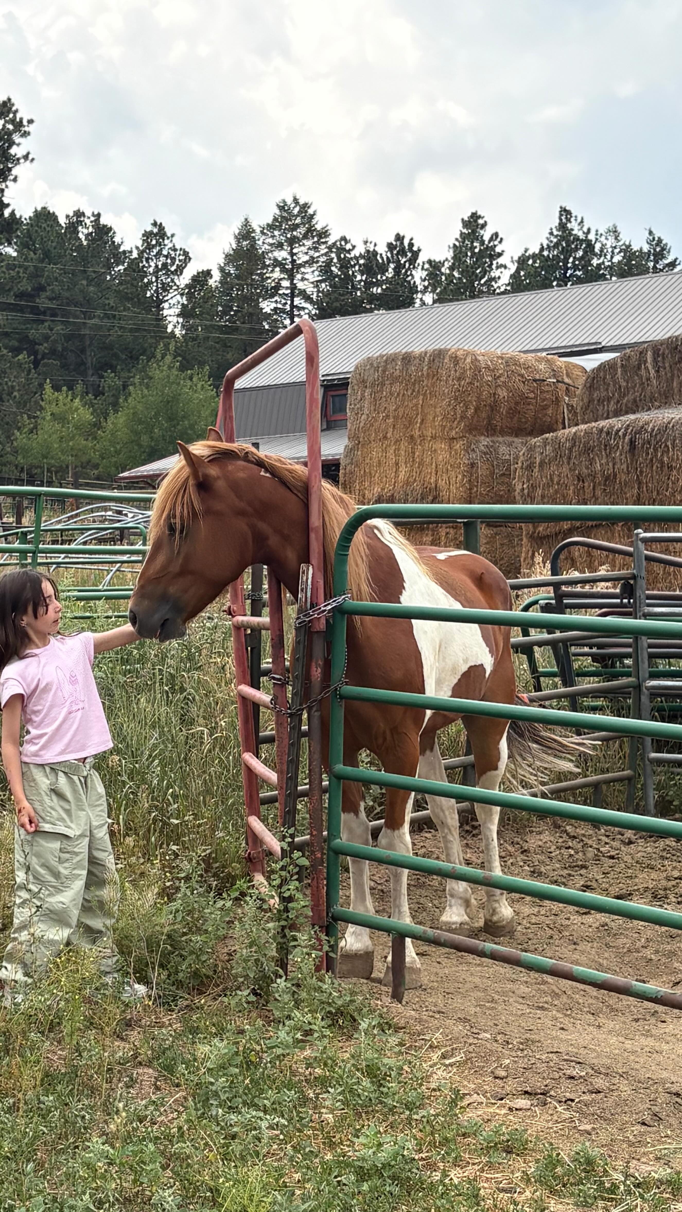 We didn’t think it was possible but we are missing the late Thursday nights spent making awards. Especially spray painting horse shoes. #coloradomountainranch #summercamp #horses #coloradomountains #coloradosummer #seasonaljobs #horsecamp