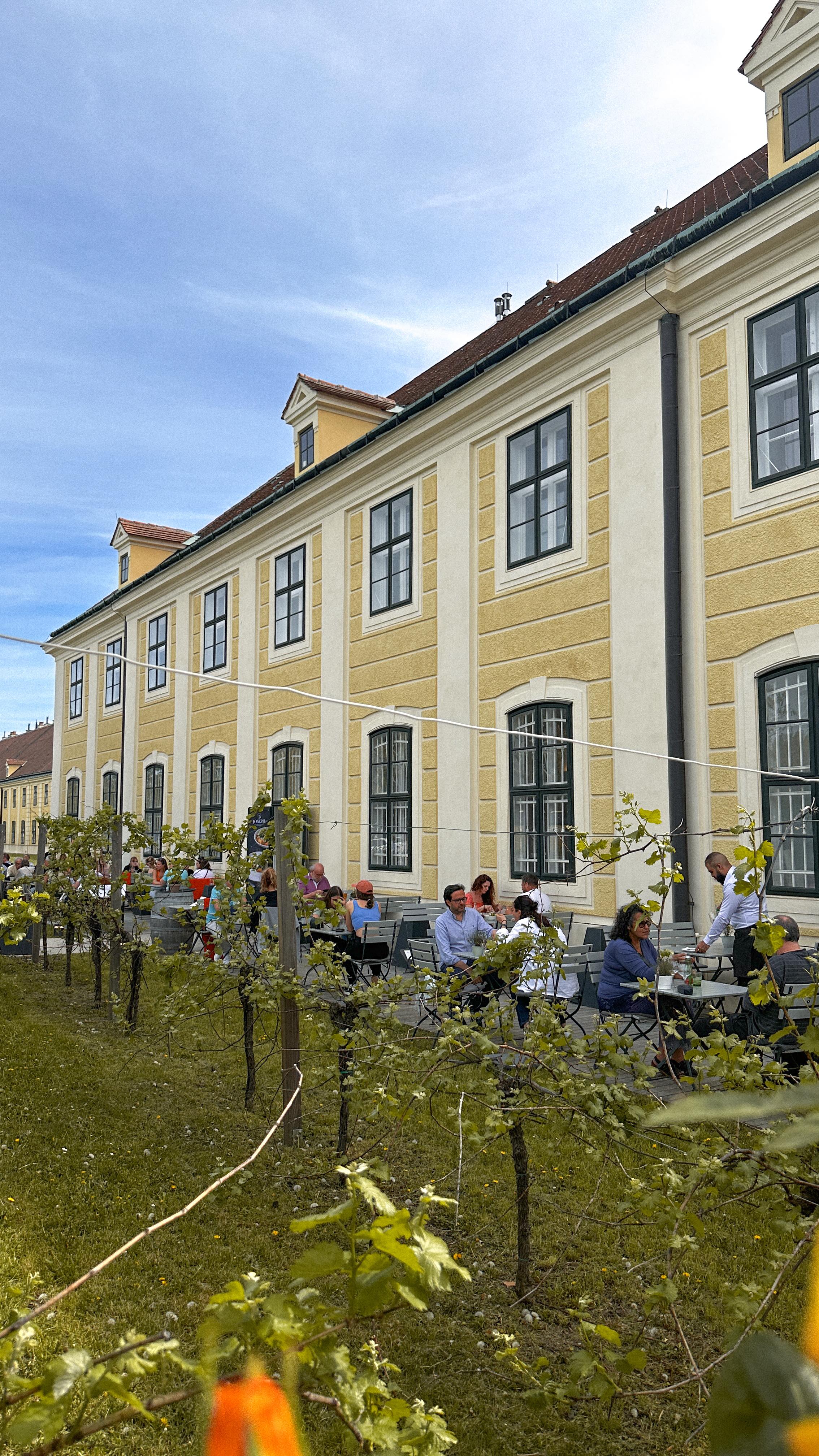 Heute zeigt euch Andi, wie er sein Backhendl mariniert: mit Sauerrahm & Zitronensaft für noch mehr Saftigkeit und Frische. 🍋🍗
So wird’s richtig g’schmackig! 🤍
#SchlossSchönbrunn #Vienna #VisitVienna #VisitSchlossSchönbrunn
#Joseph2 #WienGenießen #Restaurant #RestaurantWien #Wien #Vienna #FoodGuideVienna #Foodguide #WienerKüche #visitVienna #SHIGroup #Wein #WienerWein