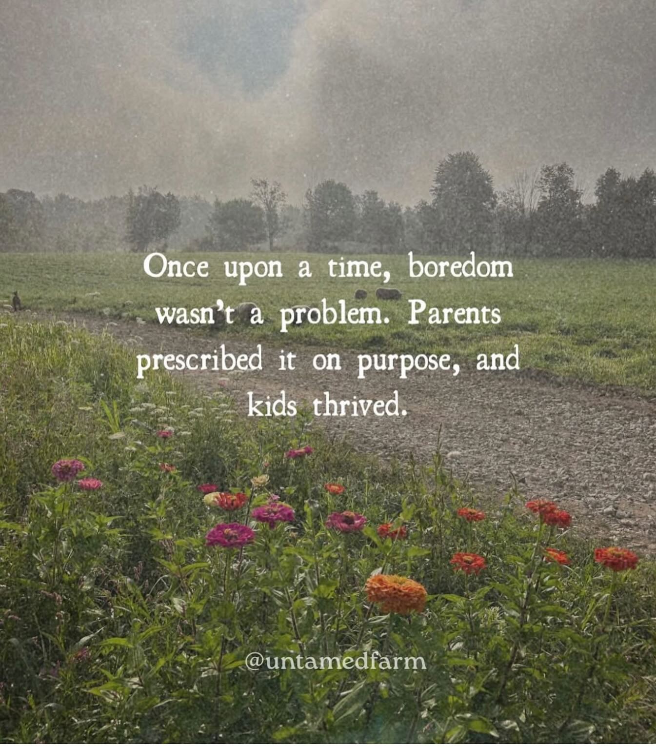 “I’m bored”
I notice when children say these two words it can strike fear into the modern parent.
Somehow it has been taken in as a personal failure where we need to entertain them or rush in with a solution.
Boredom is not a void, nor a problem. Rather it is a quiet empty space where a child’s mind is finally forced to create, to imagine, and to build a world from the inside out.
A child who is never encouraged in boredom becomes an adult who cannot be alone. It is a child who becomes an adult with no rich inner life of their own, who is taught to seek distraction, not inspiration.
Next time your child says “I’m bored” the best response is a loving “I know, and I can’t wait to see what you find feeling bored”💛
Give them the gift of empty space and let them see what they can discover ⭐️
Oh yes, also need to mention…it’s almost time for back to school!!!
yahoooooooo😎🙌🏼