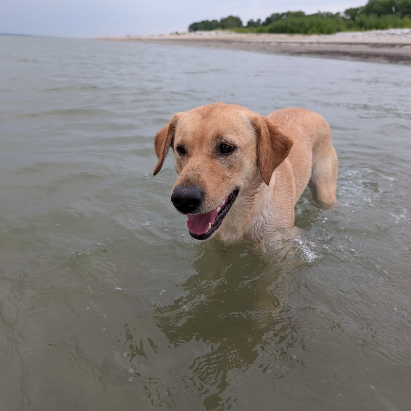 Little #laketime at #ilovelakemac this weekend. 💕