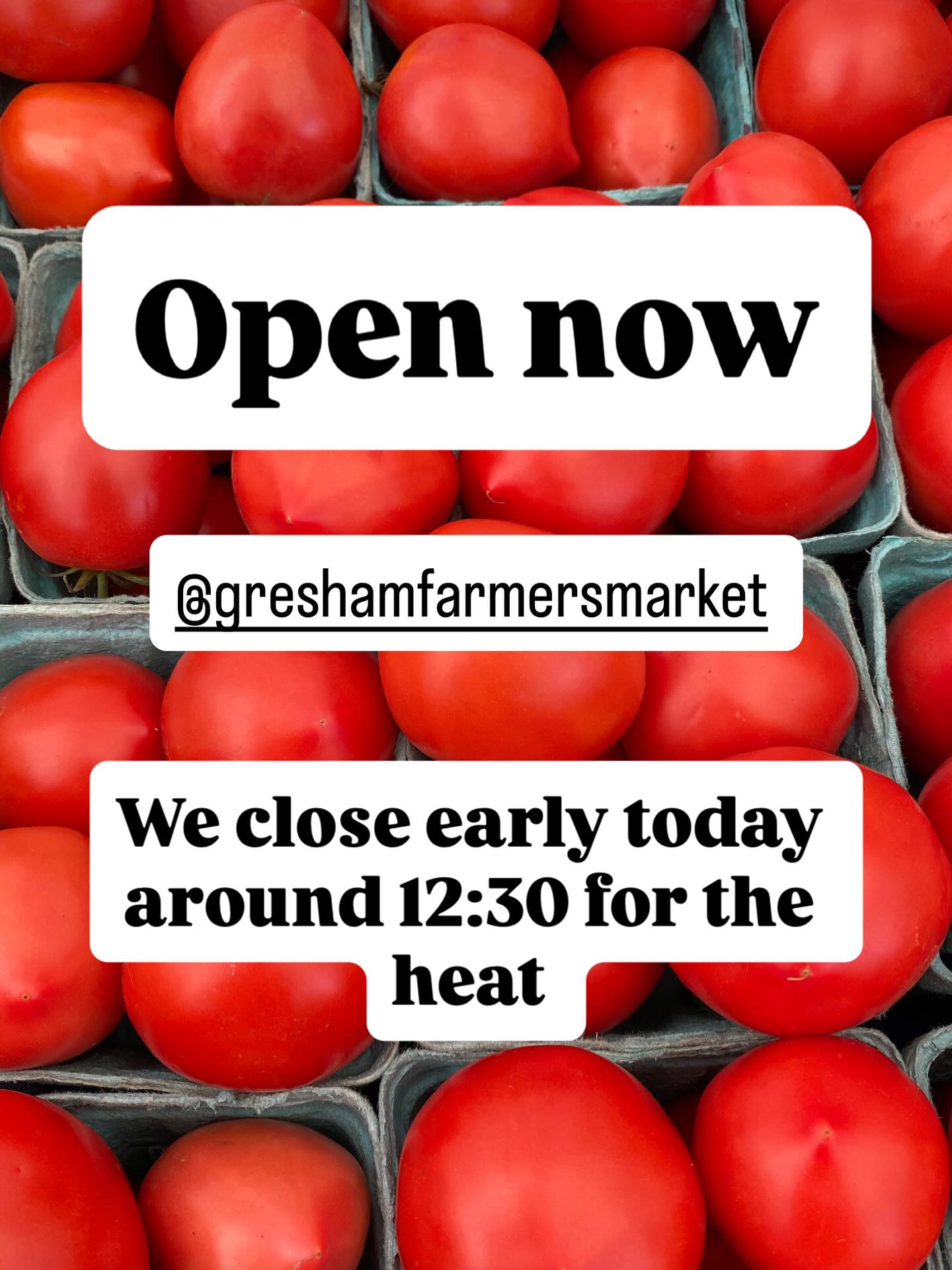 We have so much bounty and fewer hours to sell it! Come see us and get your week’s groceries. Our heirloom tomatoes are glorious. #sliceofheavenfarm