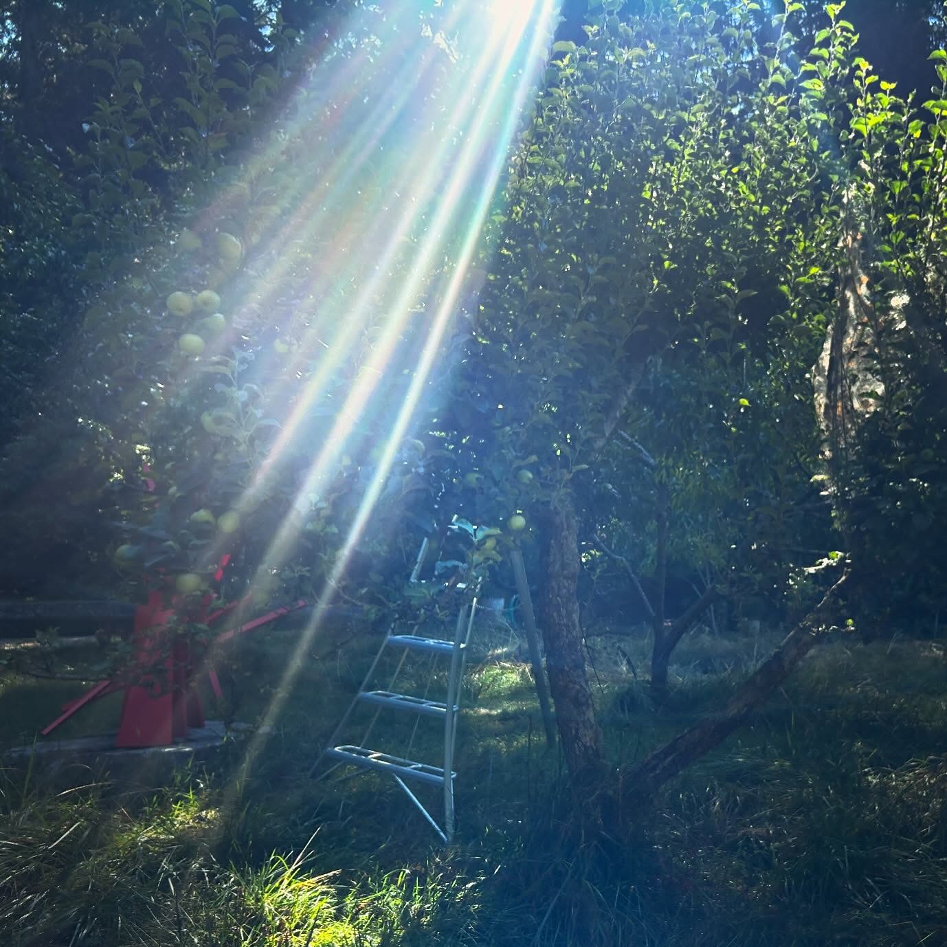 Check out my office!