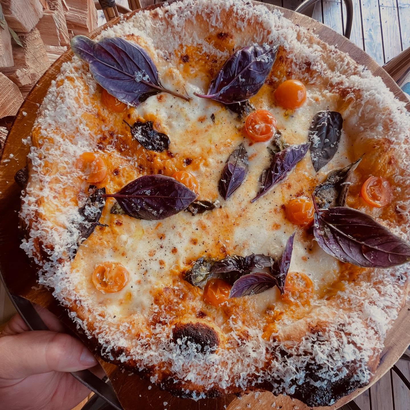 Added to the menu this week…
Sungold Margarita Pizza
Sungold tomato sauce, house pulled mozzarella, parmigiano, cherry tomatoes, and basil
#sungoldtomatoes
#margheritapizza
#housepulledmozzarella
#mendocinocounty
#andersonvalley
#boonville