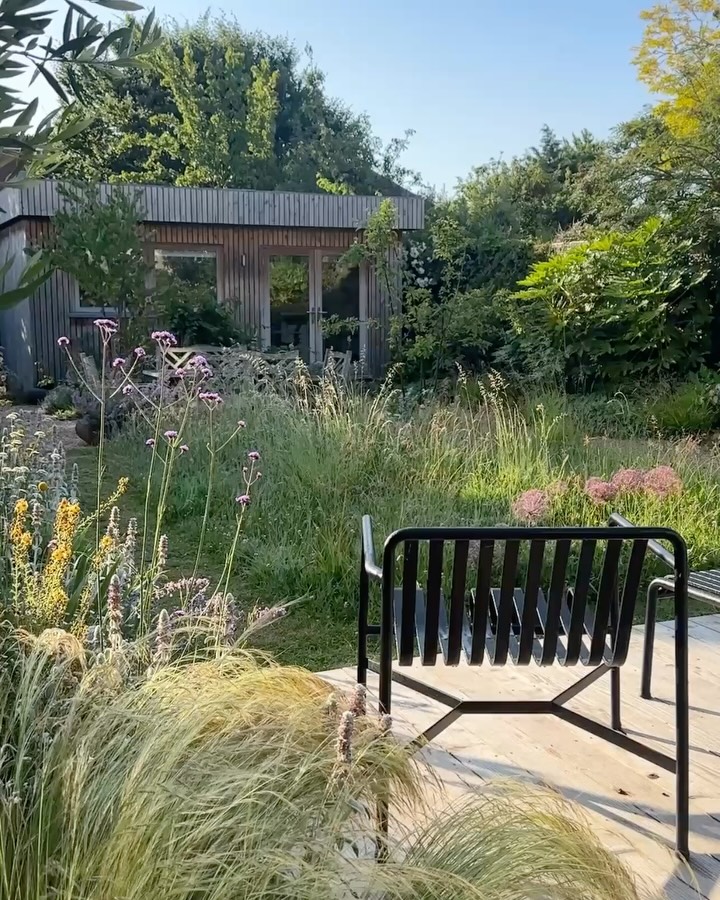 My mini-meadow experiment, in a not-very-big garden!
Our garden may be compact, it’s a town garden after all, but that’s no barrier to creating a little wild haven. With the kids now teenagers, they’ve shifted their hang-out zone to the fire-pit round the back, so this small patch got to go a bit wild.
I haven’t mown it for a few years, but this has been the first year I took it a little further. I planted a few bulbs last winter, Camassia and Allium christophii, which added some early colour before the grasses and bindweed took over.
It’s messy and imperfect, mostly grass, a fair bit of bindweed, and wildflowers still to come, But! It’s been buzzing with bees, grasshoppers, butterflies and so many insects all summer.
Now it’s cut back, and I’ll be sowing Yellow Rattle this autumn to help rein in the grass and give wildflowers a chance next year. A small patch, mostly left to its own devices, becoming a little wildlife hub, one of my favourite spots to watch change through the seasons.
And it feels even more meaningful when I think that there are about 23 million private gardens like mine across the UK. That’s a staggering resource for nature - whether big or small, we can all help biodiversity in our own little green corners.
⸻
ABOUT: Joe Perkins Design is a multi-award-winning landscape design consultancy, creating innovative outdoor spaces that celebrate the environment, wildlife, and biodiversity. Working across the UK and internationally, we partner with clients who share our passion for sustainable and visionary design. Discover more about our work at: www.joeperkinsdesign.com