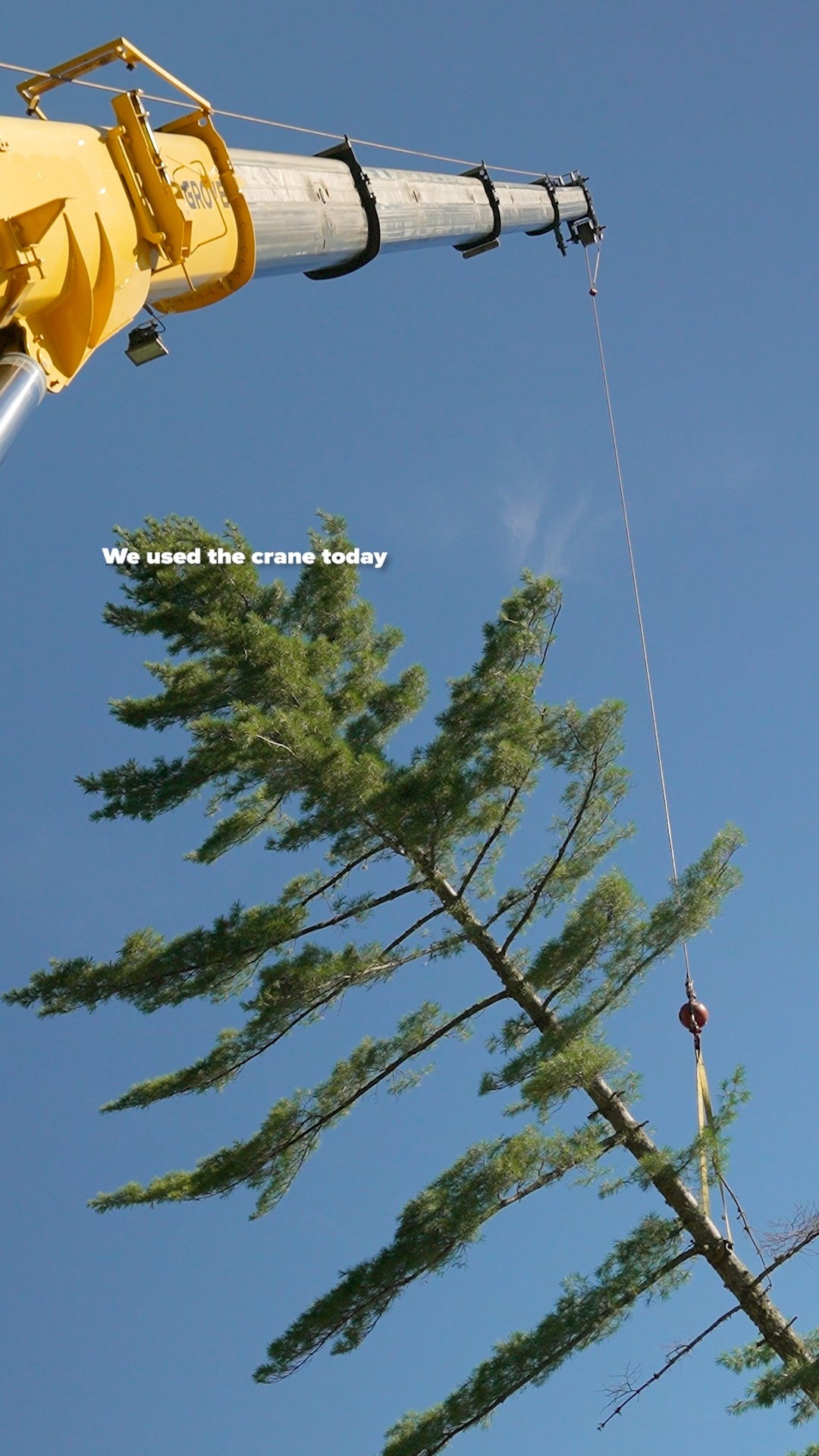 Most jobs involving crane work are a cost-saving measure. The time saved in manpower offsets the cost of bringing in the heavy duty equipment.
Apparently it’d take a lot of us on the crew to do the same amount of work as one giant crane. Go figure.
.
.
.
.
#belangertreecare #arborist #arboristsofinstagram #skowhegan #skowheganmaine #forestry #chainsaws #centralmaine #mainebusiness #treecare #treecarebusiness #treeclimbers #logging #crane #craneoperator #cranespotting