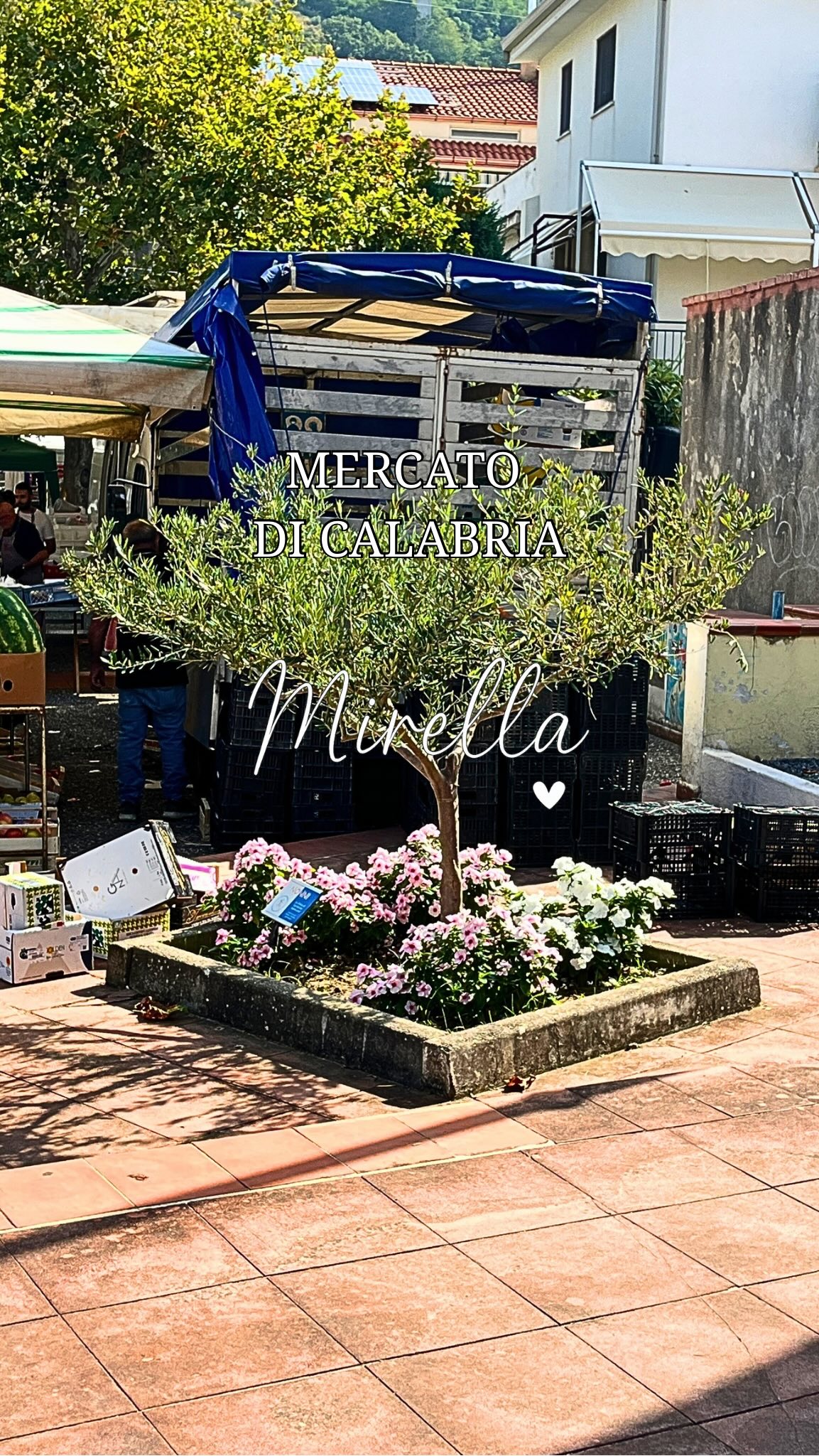 „Ein Marktbeschuch in Kalabrien 🇮🇹 ist mehr als nur Einkaufen – es ist ein Erlebnis für alle Sinne.
Frische Früchte und Gemüse 🍋🍅, handgemachter Schmuck ✨, farbenfrohe Taschen 👜 und Kleider 👗 – hier findet man einfach tutto quello che ti serve 🧡
Ich liebe diese Mischung aus Farben, Düften, Stimmen und Begegnungen – La Dolce Vita in seiner schönsten Form. 😍
👉 Was würdet ihr euch zuerst anschauen: das frische Essen oder die kleinen Schätze?“#mercato #kalabrien #markttag #fruttaeverdura #fattoamano #ceramica #gioielliartigianali #italienliebe #mirellagoestoitaly #ladolcevita #lebeninitalien #calabriavibes #slowitaly #souvenirs #auswandernitalien#mirellagoestoitaly