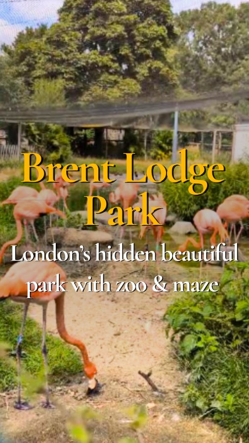 Brent Lodge Park and Hanwell Zoo might just be one of London’s best hidden gems 🌳🐒. Locals call it Bunny Park and it’s been open since 1931. Even Queen Victoria once stopped her train here just to admire the view 👑🚂.
For us it’s a go-to picnic spot 🧺☀️. There’s a maze, playgrounds, sports facilities and a café for ice cream 🍦.
The zoo is just £5 a ticket and home to flamingos, giant tortoises, llamas, lemurs and more 🦩🐢🦙. It may not be the biggest, but that’s part of the charm.
If you’re after a peaceful day out with friends or family, Brent Lodge Park is definitely worth a visit 💚.
📍 Brent Lodge, 204 Church Rd, London W7 3BP
#BrentLodgePark #Hanwell #Ealing #DiscoveringBites #LondonParks #Parks #London #BankHoliday #Bankhol #Weekend #Zoo #Flamingos #LondonZoos #UK #HiddenLondon #DayOut #LocalLondon #Reel #WestLondon #ExploreLondon