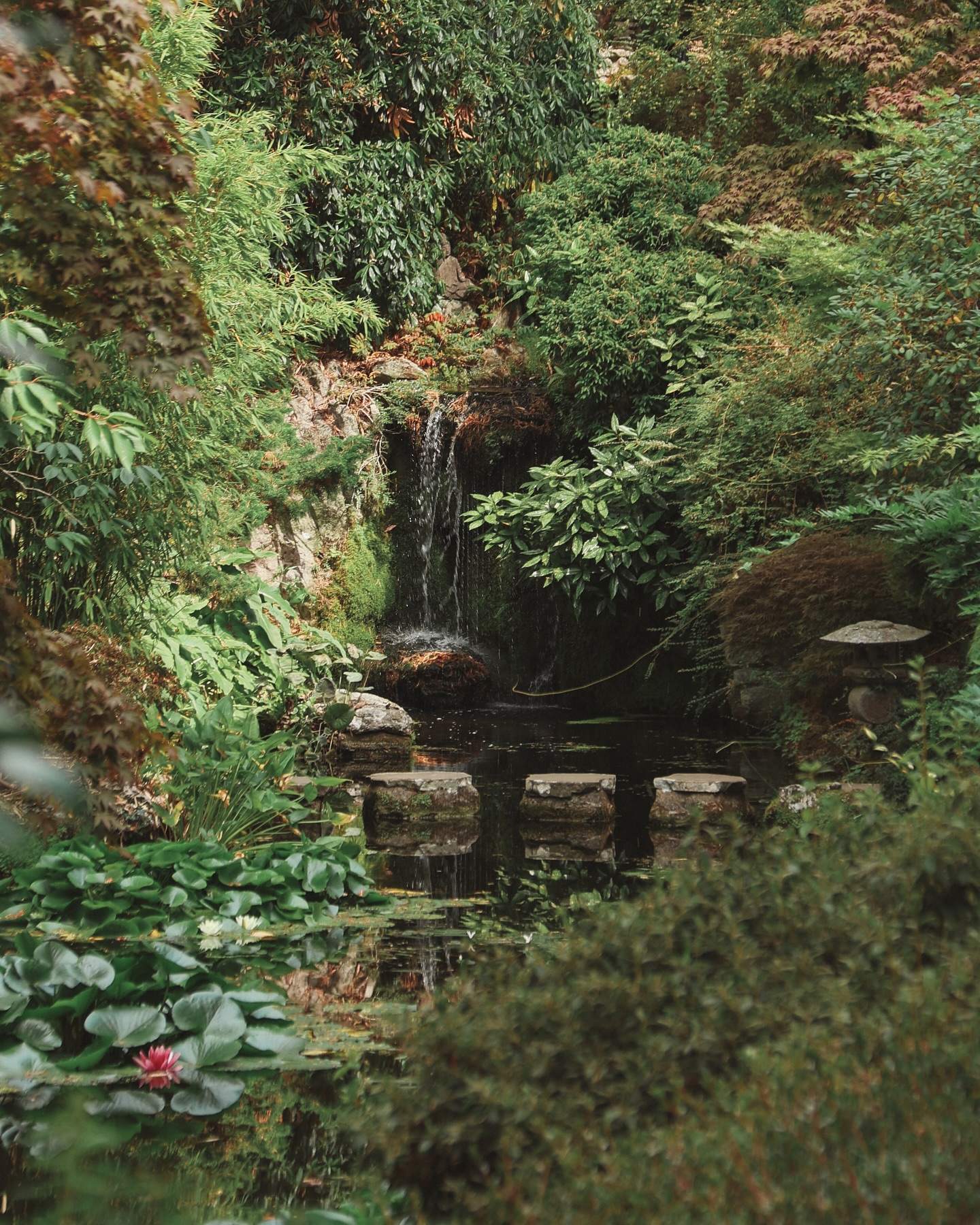 Between editions - a walk through other worlds at Compton Acres.
The Japanese Garden asked for stillness - acers leaning over calm water, stepping stones leading carefully across reflections, koi flickering beneath the surface.
The Italian Garden rose in perfect formality with symmetry, sculptures and vibrant blooms holding the space with poise.
The woodlands drew us onward with sound - streams rushing, water tumbling, a hidden music we chased from one pool to the next.