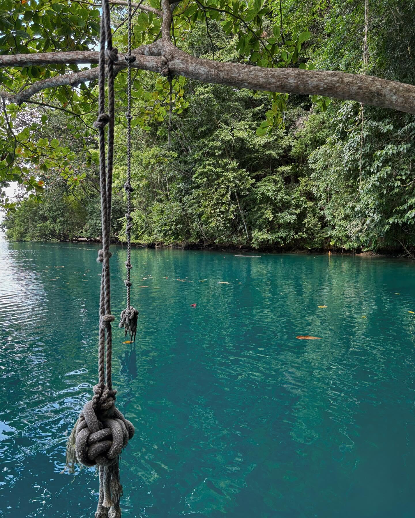 Dear #jamacia,
I’m going to miss your coconuts.
And your turquoise waters.
And your warm hospitality.
And the #ackee
#portantonio #wilksbay #bluehole #bluelagoon #summersend