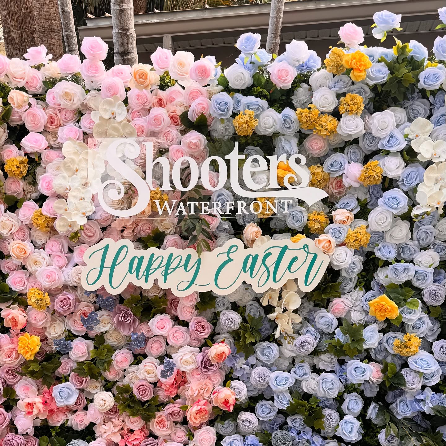 Head to the link on bio to book โOh Baby!โ for your next event ๐๐ฉตโจ