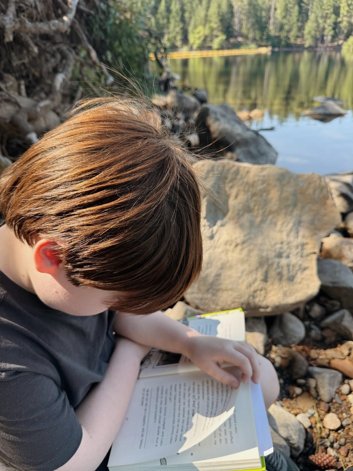 Schoolhouse students enjoy reading in various locales this summer (including an African safari)!
#sfschoolhouse