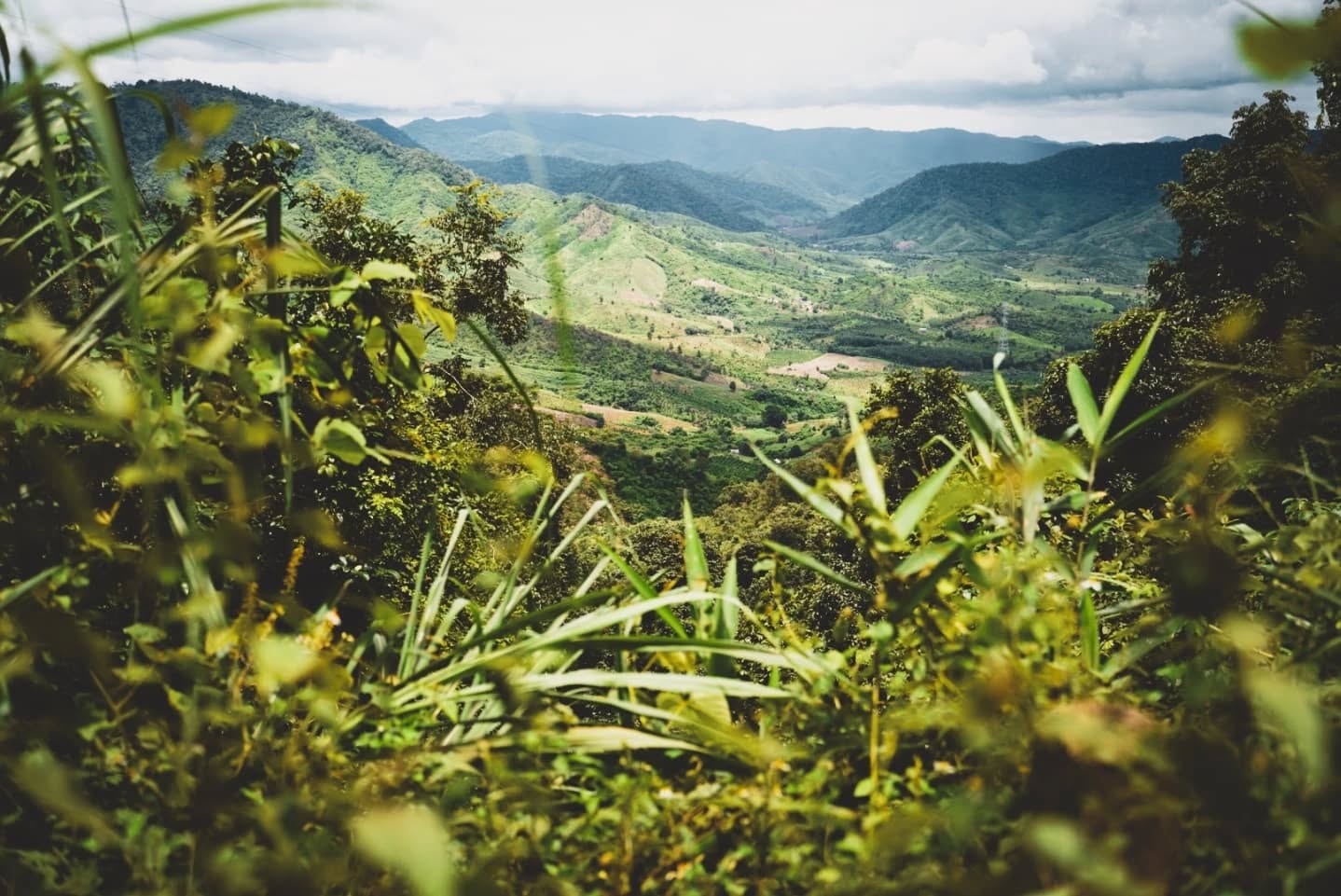 Central Highlands of Vietnam
Stretching across the borders with Cambodia and Laos, this series of basaltic plateaus is home to the cultural diversity of over 20 ethnic minorities. A whole world to explore.
_______
Les Hauts Plateaux du Vietnam
S'étalant au delà des frontières avec le Cambodge et le Laos, cette série de plateaux basaltiques abrite la richesse culturelle de plus de 20 minorités ethniques. Tout un monde à explorer.