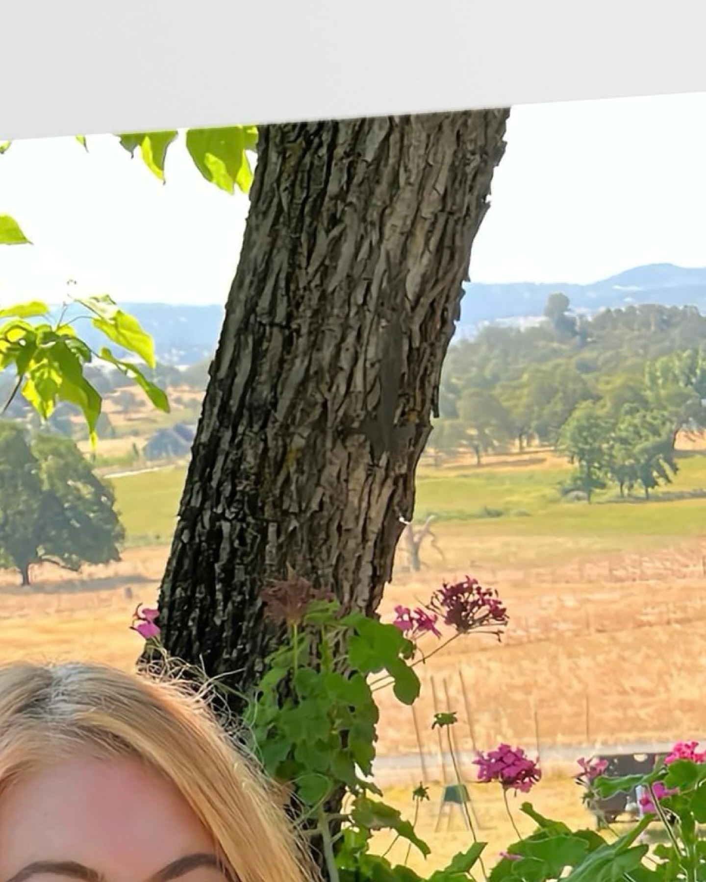 Hawks don’t migrate in family groups.
They gather with strangers, bound by instinct, not kinship.
Isn’t that … kinda beautiful?
Hashtags:
#HawkMigration #KettleOfHawks #InstinctAndFlight #PoeticPodcast #AvianFacts #StrangersTogether #CollectiveNounWisdom #BirdsofInstagram #gatherofgatherings