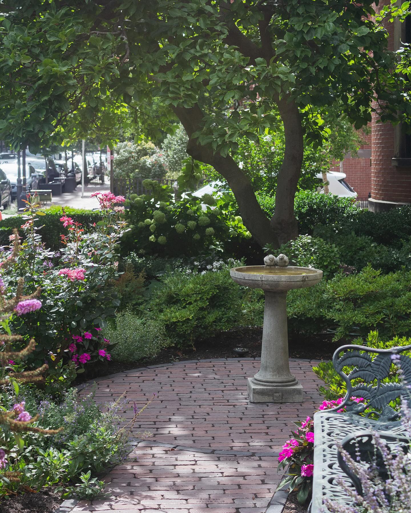 Happy Friday!! 🌿 Soaking in this perfect weather! Enjoy the weekend, everyone!
.
.
.
.
.
#citygarden #garden #gardendesign #growsomething #gardenlove #boston #backbay #containergarden #gardenstyle #instagarden #landscaping #outdoorliving #outdoordecor #outdoordesign #gardenlife #curbappeal #windowbox #home #bhg #bhghome #bostonhome #rslove #plantlove #igboston #theprettycities #mytinyatlas #summer #summervibes #weekend