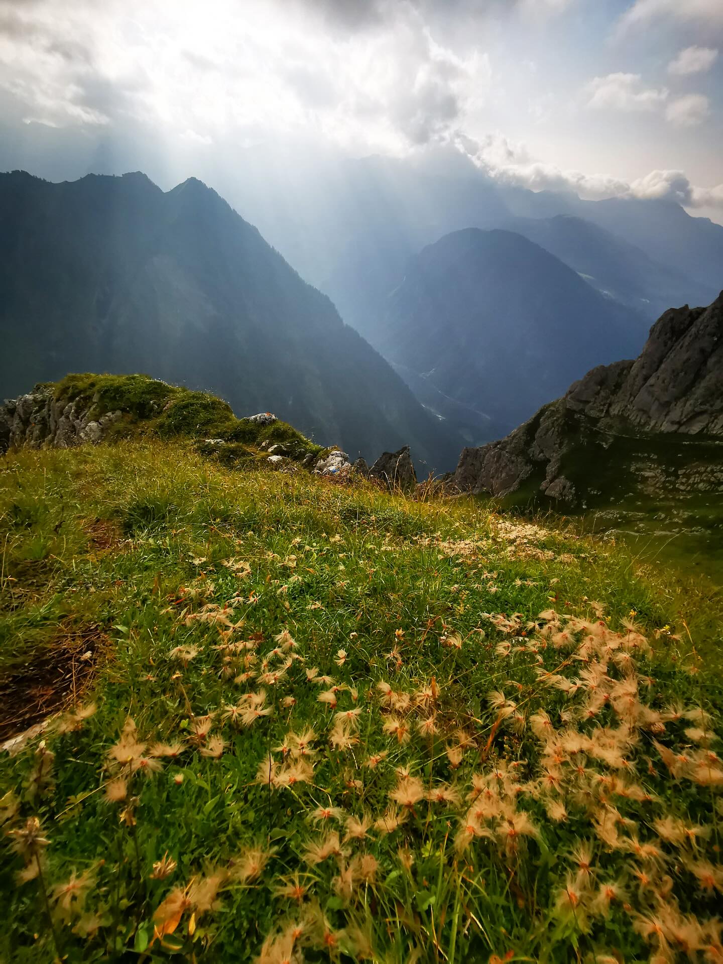 Wenn Sonnenstrahlen durch die Wolken brechen und die Berge in sanftes Licht tauchen, entsteht eine vollkommene Ruhe 🧘😌
Nach dem Aufstieg am Zwölferjoch eröffnet sich ein Ausblick, der kaum in Worte zu fassen ist – einfach zum Genießen.
#sarotlahuette #sarotlatal #brandnertal #wandern #zwölferjoch #Bergliebe #Bergwelten #Gipfelglück #Bergmomente #Naturgenuss
#Wanderlust #Berge #Fernblick #Bergzeit #Wanderfreude
#Alpenliebe #Wandermomente #Naturwunder #Bergsicht #Ruhemoment #alpenvereinshütte #alpen #rätikon #alpenvereinvorarlberg #alpenverein
📸 by @mar_cels22