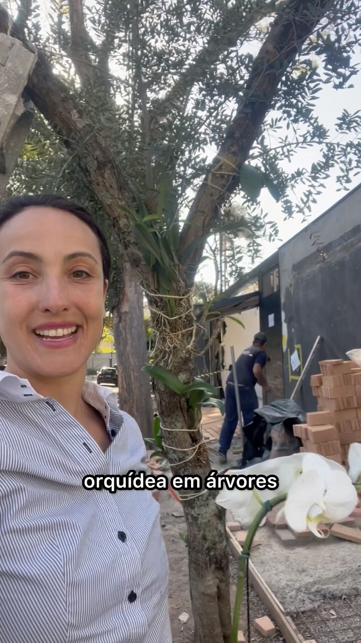 🇧🇷Orquídeas em árvores dão realmente um charme para os espaços! Mas é preciso se atentar à algumas dicas: o tipo de árvore/casca ideal, como fixar elas do jeito certo (não precisa do pote nem do cabo) e as condições ideais de luminosidade de acordo com cada espécie.
.
🇬🇧Orchids in trees really add charm to any space! But there are a few things to keep in mind: the ideal type of tree/bark, how to properly secure them (no pot or wire required), and the ideal lighting conditions for each species.
.
#dicasdejardinagem #orquideas #arvore #jardimdecasa #casaejardim #paisagista #paisagismoecologico