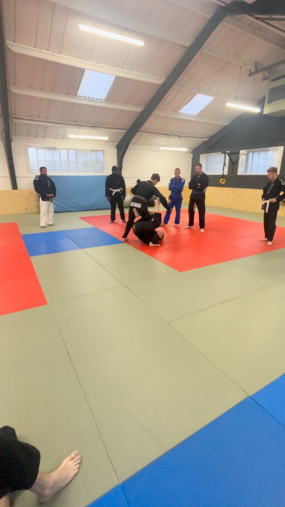 Repetition is key, drill until it becomes natural. Donāt forget thereās two sides to a person, donāt just focus on one. #bjj #checkmatbjj #ibjjf #fighting #bjjlifestyle #bjjdrills #lifestyle #bjjcoach