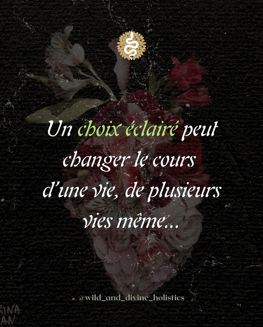 ✨ Le pouvoir d’un choix éclairé
Un choix, ça peut sembler anodin n’est-ce pas?
Mais en réalité, c’est une graine que l’on plante dans nos vies…
Une orientation qui nous façonne et façonne nos enfants, et ainsi de suite comme un effet domino.
Là où nous croyons choisir librement, nous sommes souvent déjà influencés par la publicité, la peur, la fatigue, l’habitude…
Et quand nous ne sommes pas informés correctement, éduqués sur certains sujets essentiels, que nous manquons de repères, de modèles sains, est-ce vraiment un choix? Ou réflexe conditionné?
Aujourd’hui, nous avons besoin plus que jamais de retrouver la capacité de choisir en connaissance et en conscience.
• Dans la santé: comprendre ce qui se joue pour décider sans subir.
• Dans l’alimentation: distinguer ce qui est vecteur de santé et ce qui empoisonne.
• Dans la se-ualité: montrer l’exemple, ne pas laisser les écrans “éduquer” nos enfants, nous éduquer nous-mêmes pour sortir des cercles vicieux.
• Dans la consommation: refuser d’être ballottés par des désirs fabriqués.
Choisir en conscience, c’est un acte intime et politique.
✨ C’est poser une limite au système qui nous veut immatures et dépendants.
✨ C’est montrer aux générations qui arrivent qu’il est possible d’être souverain, lucide et relié.
Dans mes accompagnements, c’est ce que j’ai à cœur de transmettre et de cocréer avec vous: des espaces pour réapprendre à s’écouter, à discerner, à choisir avec justesse.
Et toi, quel a été ton dernier vrai choix éclairé? 💫