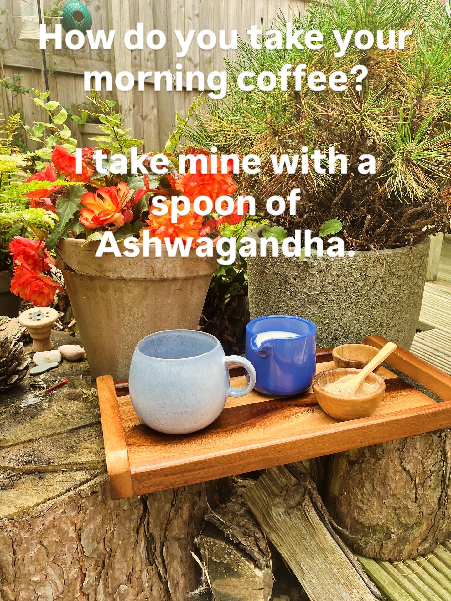 For a nervous system reset, have you tried Ashwagandha in small amounts over the day?
Great for anxiety, overwhelm, poor sleep, mood levelling, hormones, and reproductive health.
https://www.outandin-health.com/product-page/ashwagandha