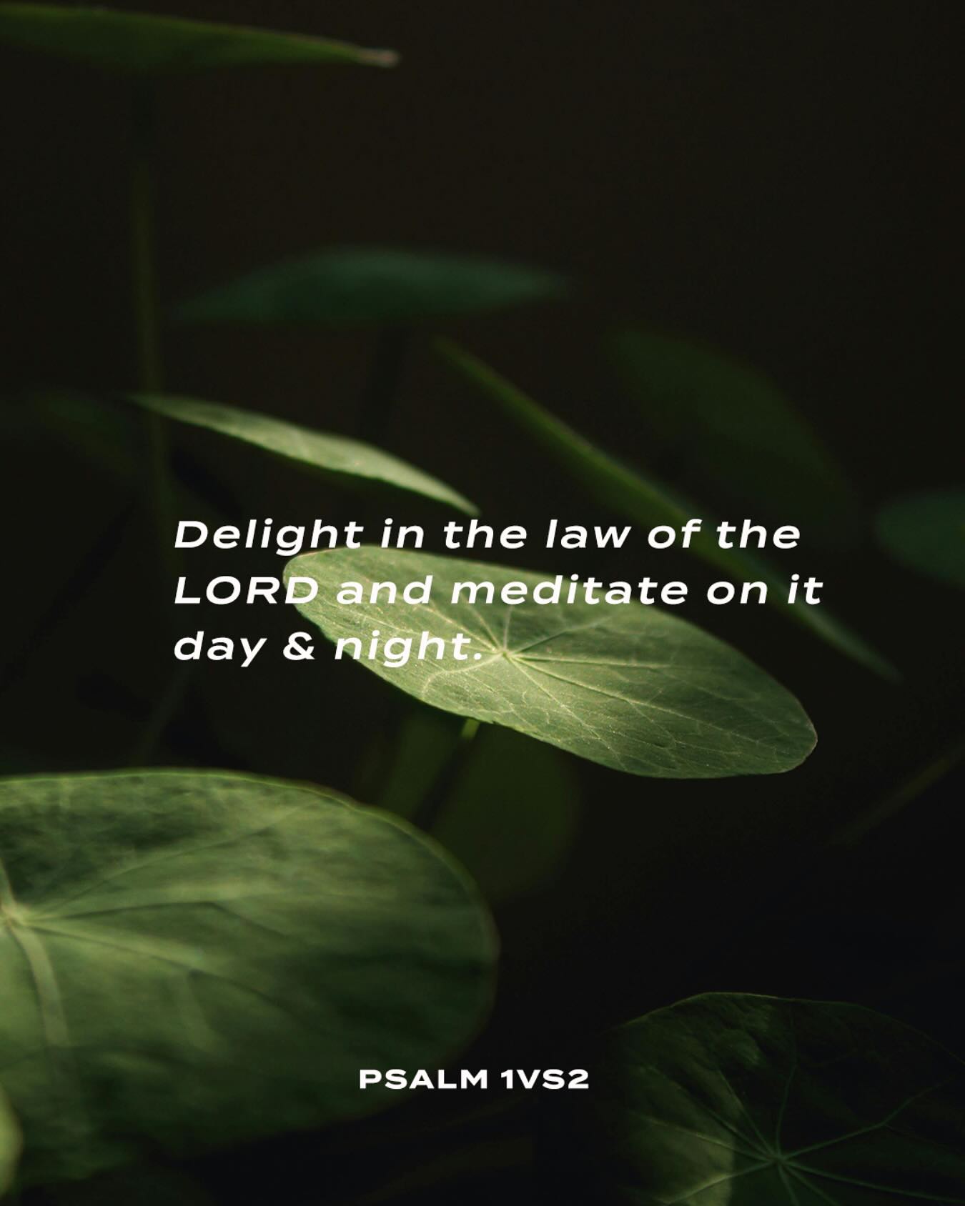 Happy Friday! Bon Weekend!