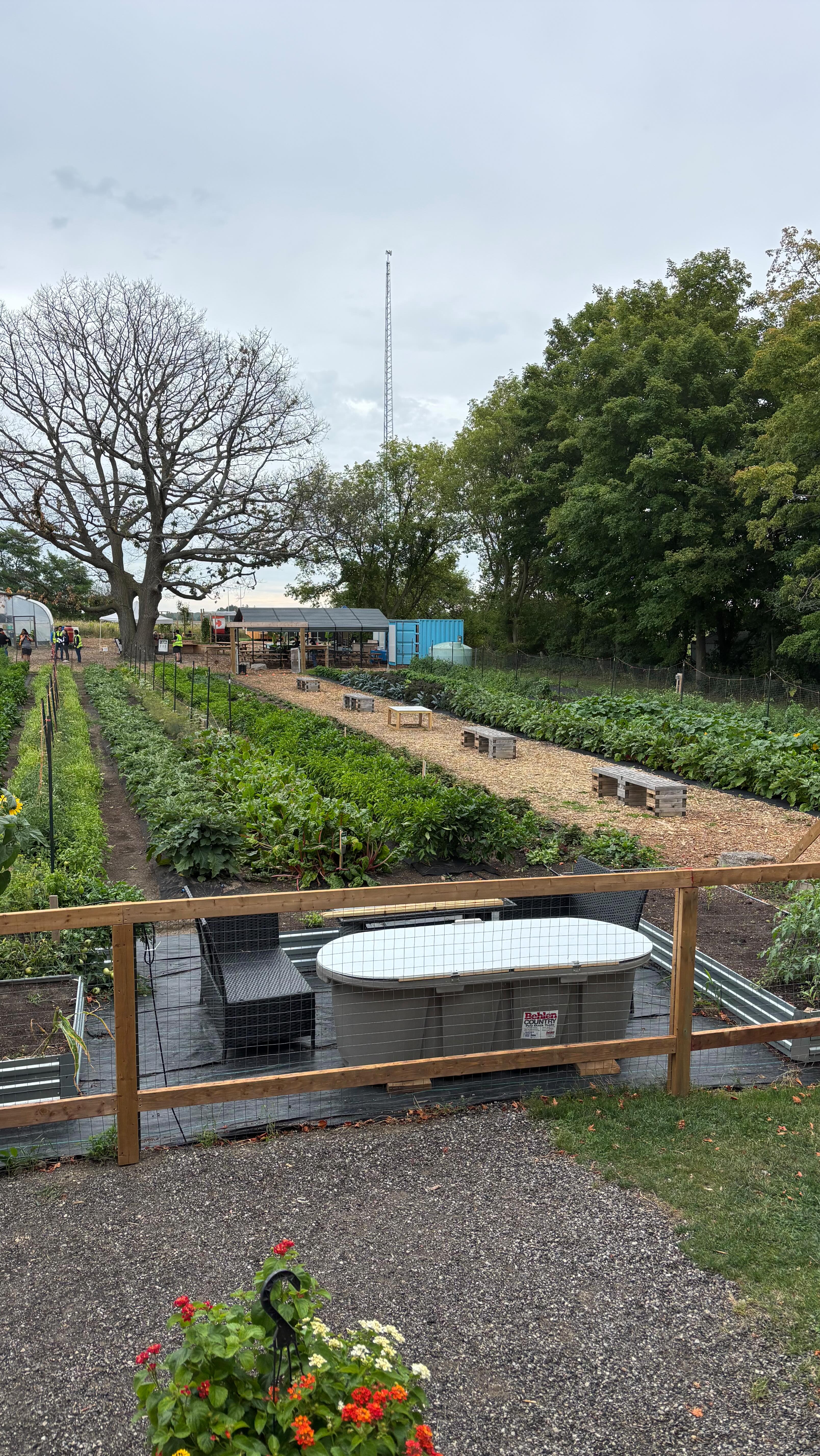 Skills development training. Agri-Education through the lens of STEM with @borealfarmco @farmdrop_canada and @stemminds
The earth has so much to teach us…if we’re patient enough to listen with our hands as well as our hearts we can make change happen.
Contact or visit today.
.
.
#containerbuilt #farmdrop #farm #farming #agricultureworldwide #kingcity #stem #agrieducation