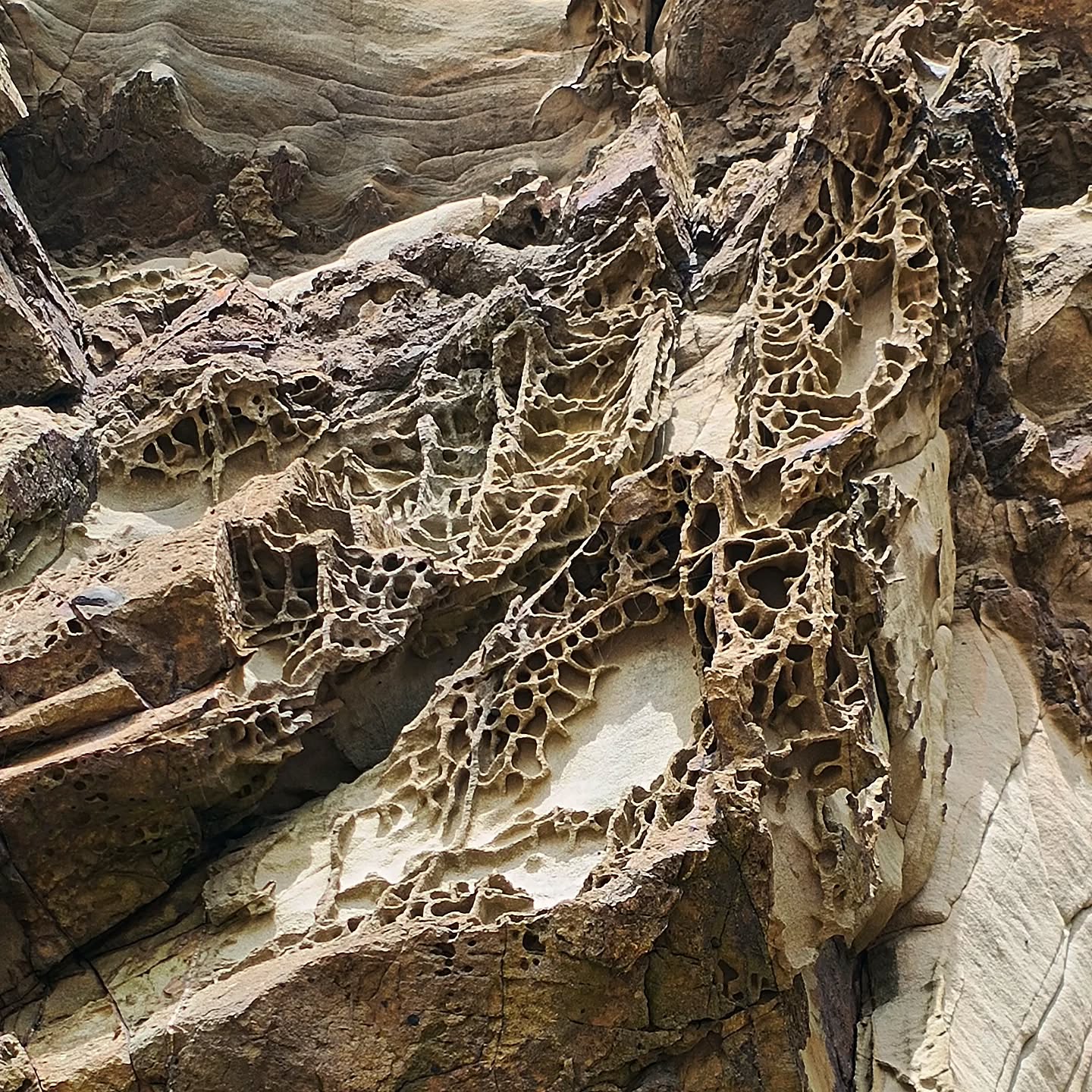The cliff faces at Newgale Beach in South Wales are a feast for the eyes - well, mine at least! I'm no geologist but I think they're rather special. I love this formation, which I don't think I've ever noticed anywhere else. Looks like giant spider webs! 🕸️
Netti x
#cliffside #southwalesbeaches #southwales #newgale #geological #geologyrocks #geologists #naturesbounty #iloverocks