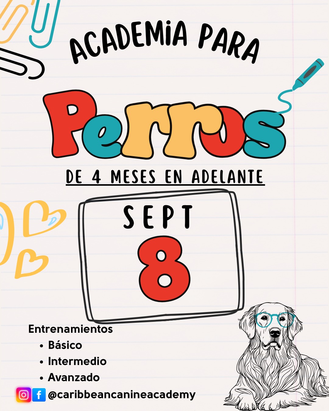 Durante dos semanas completas, su perro compartirá con nosotros mientras trabajamos en:
✅ Los cinco comandos esenciales
✅ Caminatas tranquilas sin halar la correa
✅ Y cualquier comportamiento específico que necesiten mejorar 🐶
Este programa está diseñado para ayudarles a construir una relación más clara, equilibrada y disfrutable con su perro, en un ambiente estructurado y de mucho respeto. 🌟
📅 Los espacios son limitados — reserva tu espacio hoy mismo.
**WhatsApp 787-232-5994
Será un gusto tener a su perro con nosotros. 💛
#caribbeancanineacademy #puertorico #carolinapr #entrenamientodeperros #dogtraining #clasesparaentrenador #trainthetrainer #perrospr #perros #dogs #dogsofinstagram #canine #k9 #puppy #puppies #puppiesofinstagram #cachorros #cachorrosdoinstagram