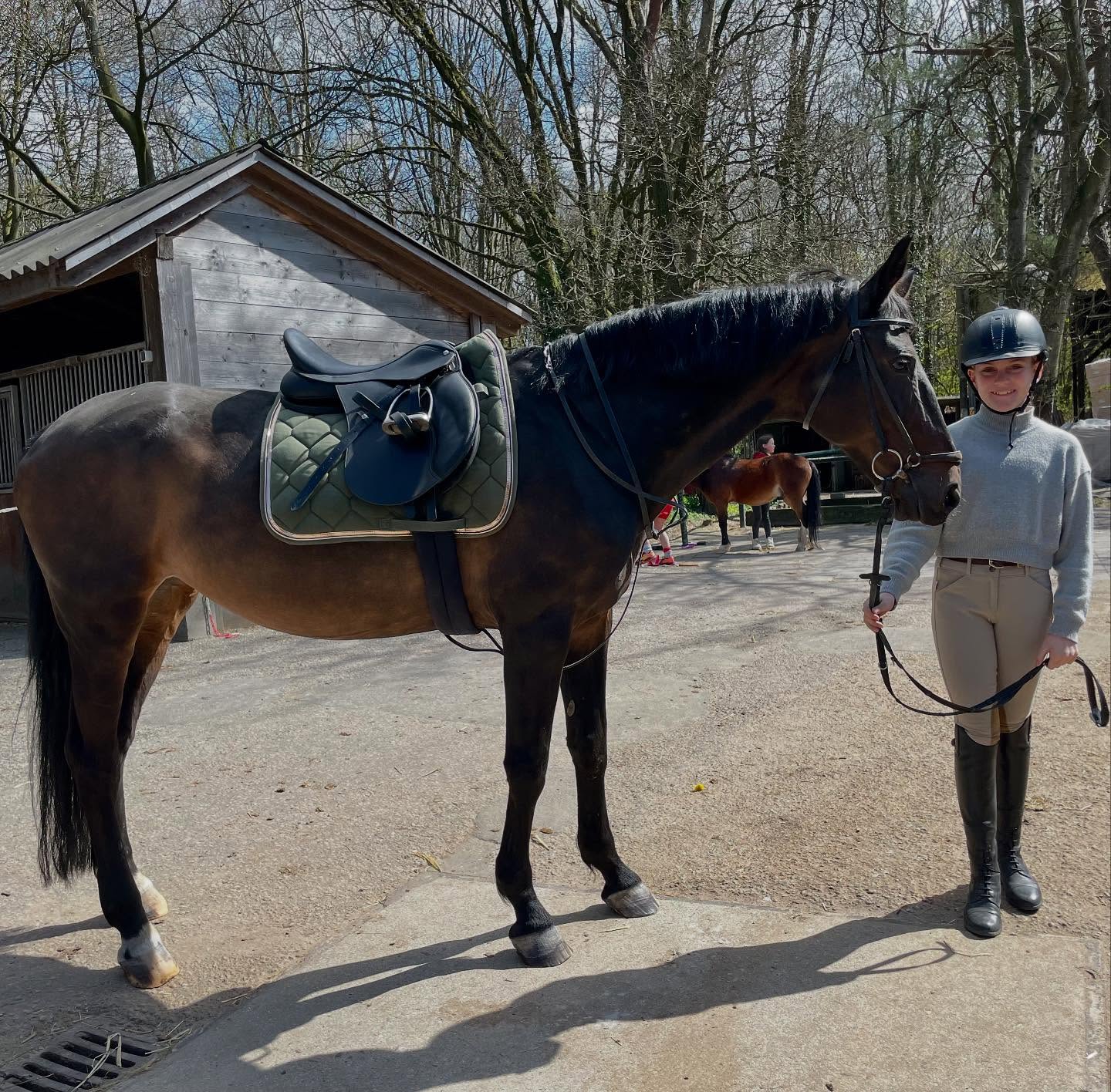 Quinlyn lessoning on a retired show jumper in The Netherlands. Lovely horse.