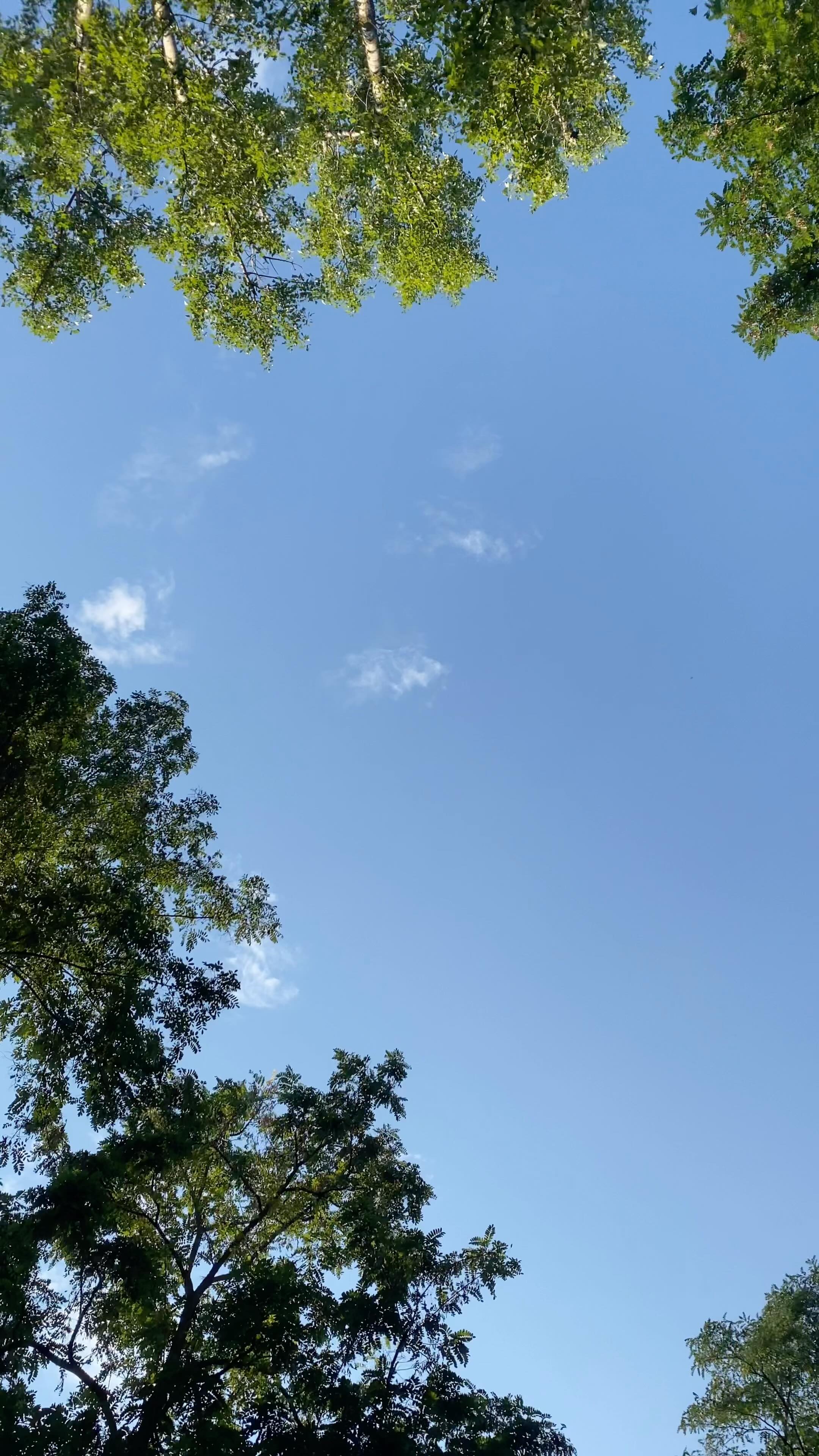 Let’s try again! Due to weather circumstances we’ve decided to move the Kleznic to Sunday the 24th. No need to let a good reel go to waste. The invitation still stands to come join us at the Kreuzberg part of Dreiländereck, close to Biergarten Jockel. If you get lost, just follow the music. See you there!