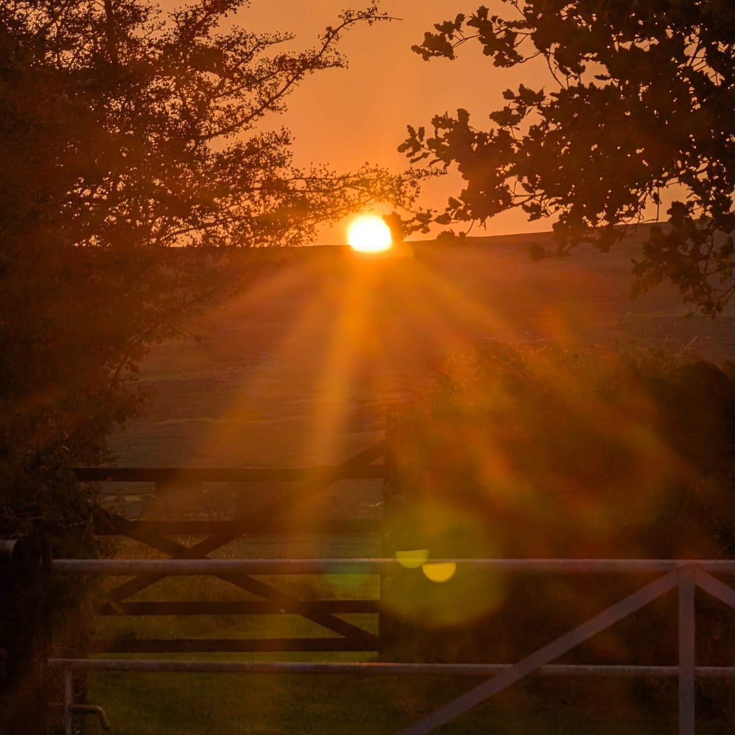 Beautiful sunrises ✔️ We still have some availability left in September and we are now taking bookings for 2026. Couples receive a 10% discount on 7 night stays. Click on link in bio to book.
.
.
.
.
#lowerwillsworthy #sunrise #nofilter #countryretreat #landscapephotography #vistdartmoor #visitdevon #escapetothecountry #dartmoorholidays #dartmoorholidaycottage #holidaycottagesuk #staycation #ukbreaks #dartmoornationalpark #dartmoor